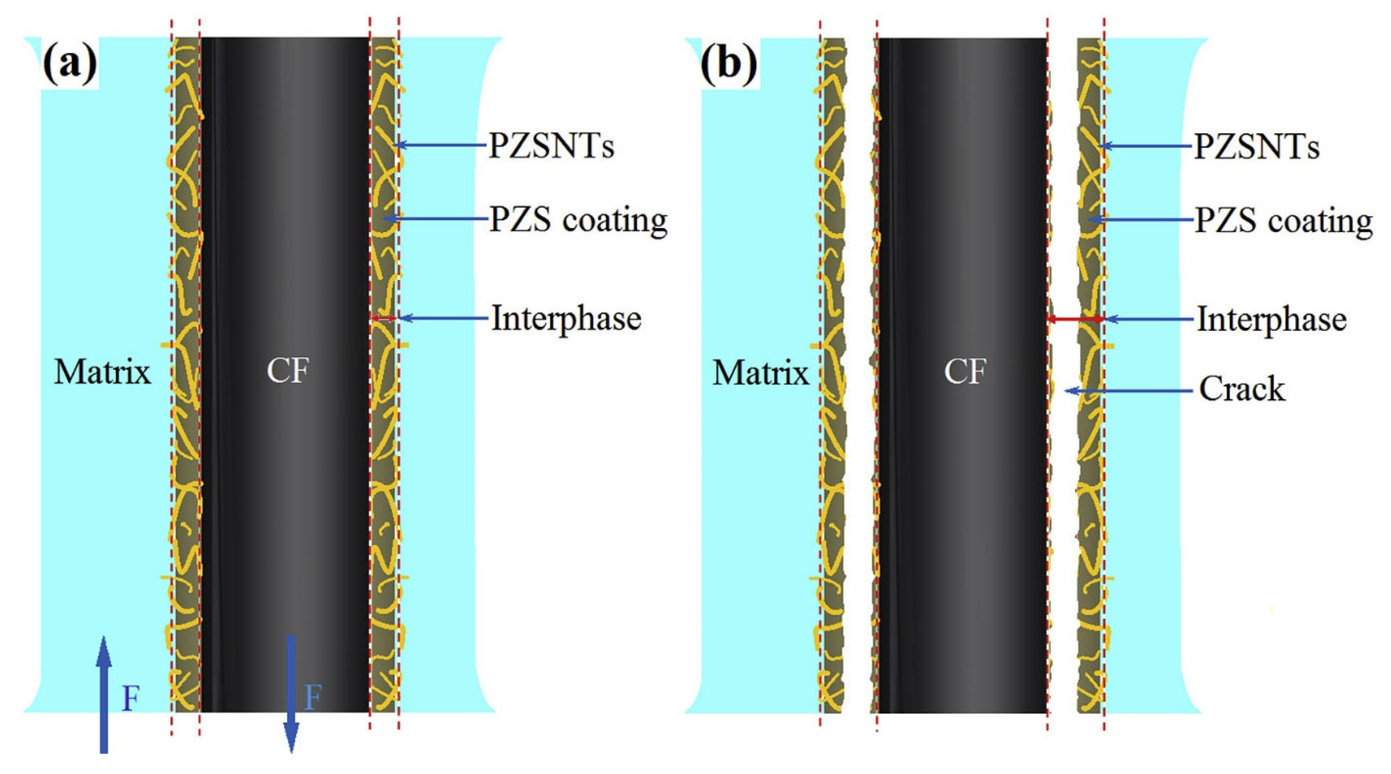 Molecules 29 05996 g014