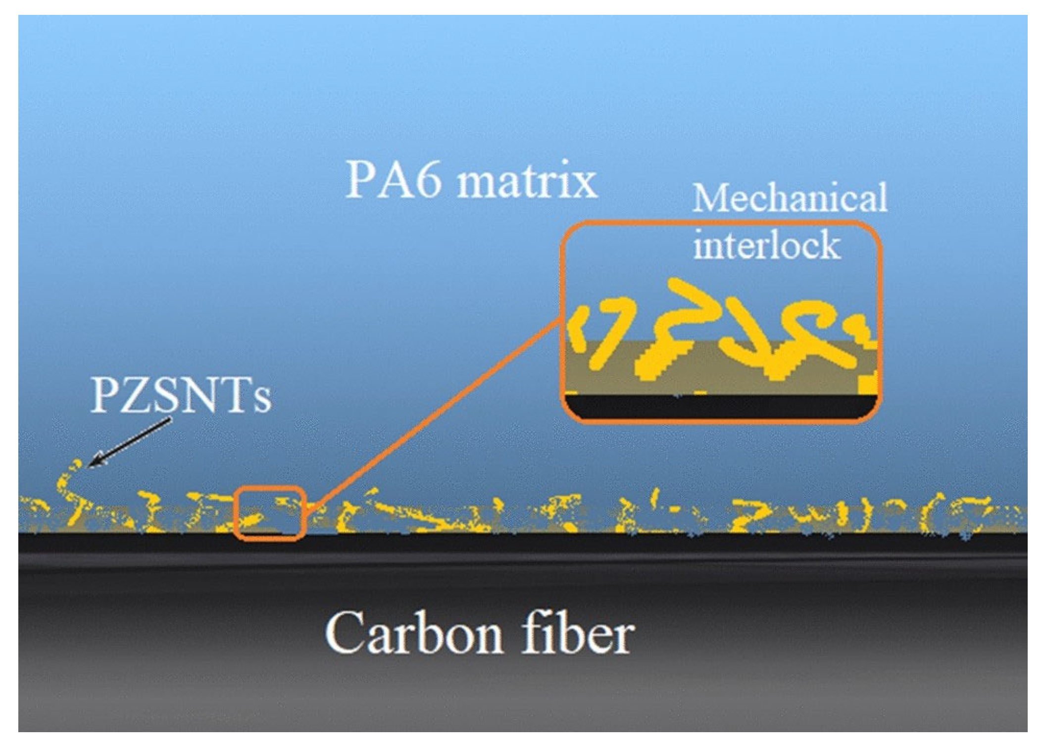 Molecules 29 05996 g016