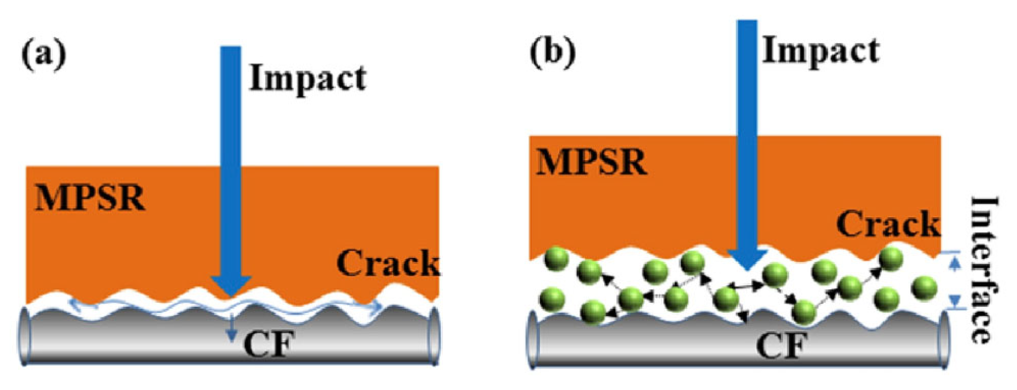 Molecules 29 05996 g026