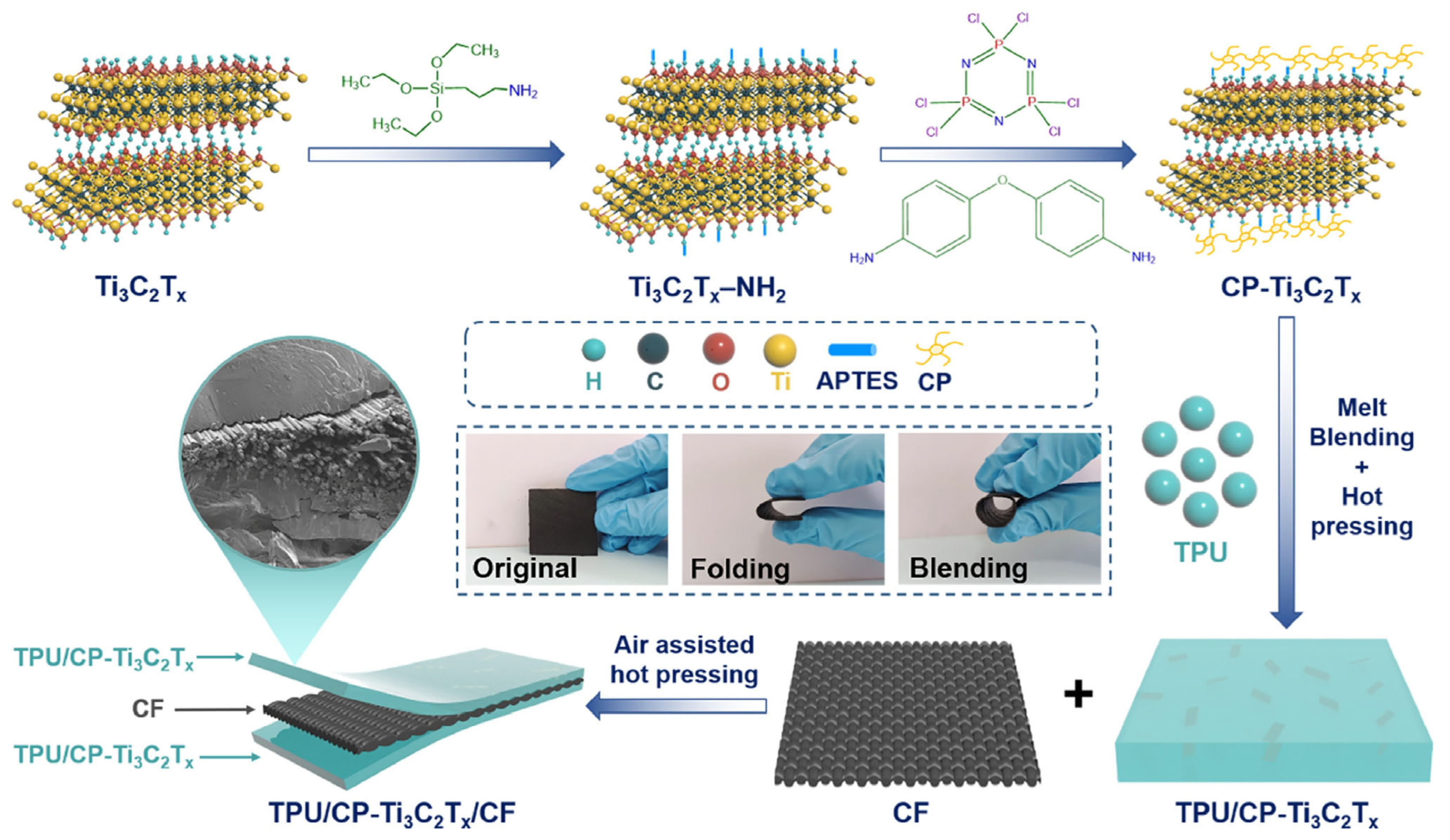 Molecules 29 05996 g027