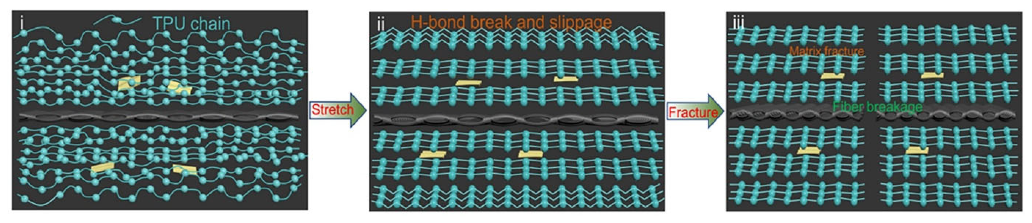 Molecules 29 05996 g028