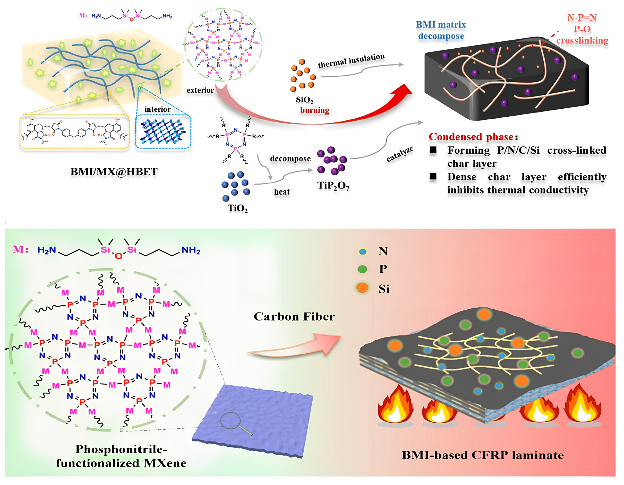 Molecules 29 05996 g031