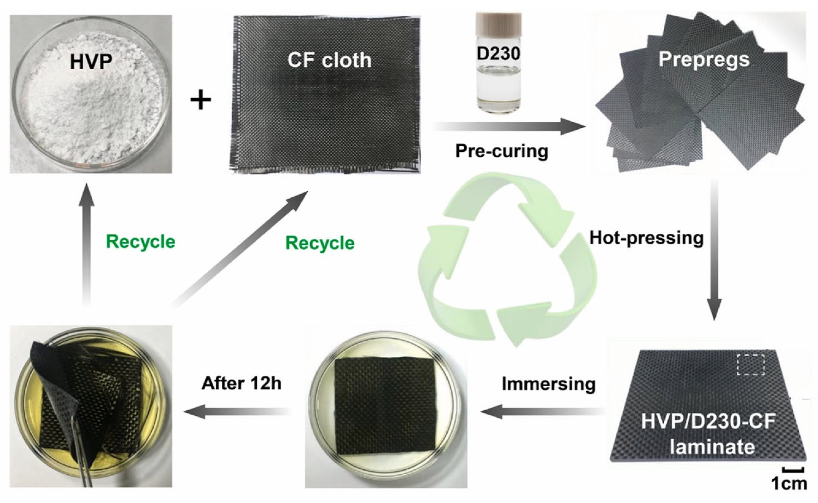 Molecules 29 05996 g033