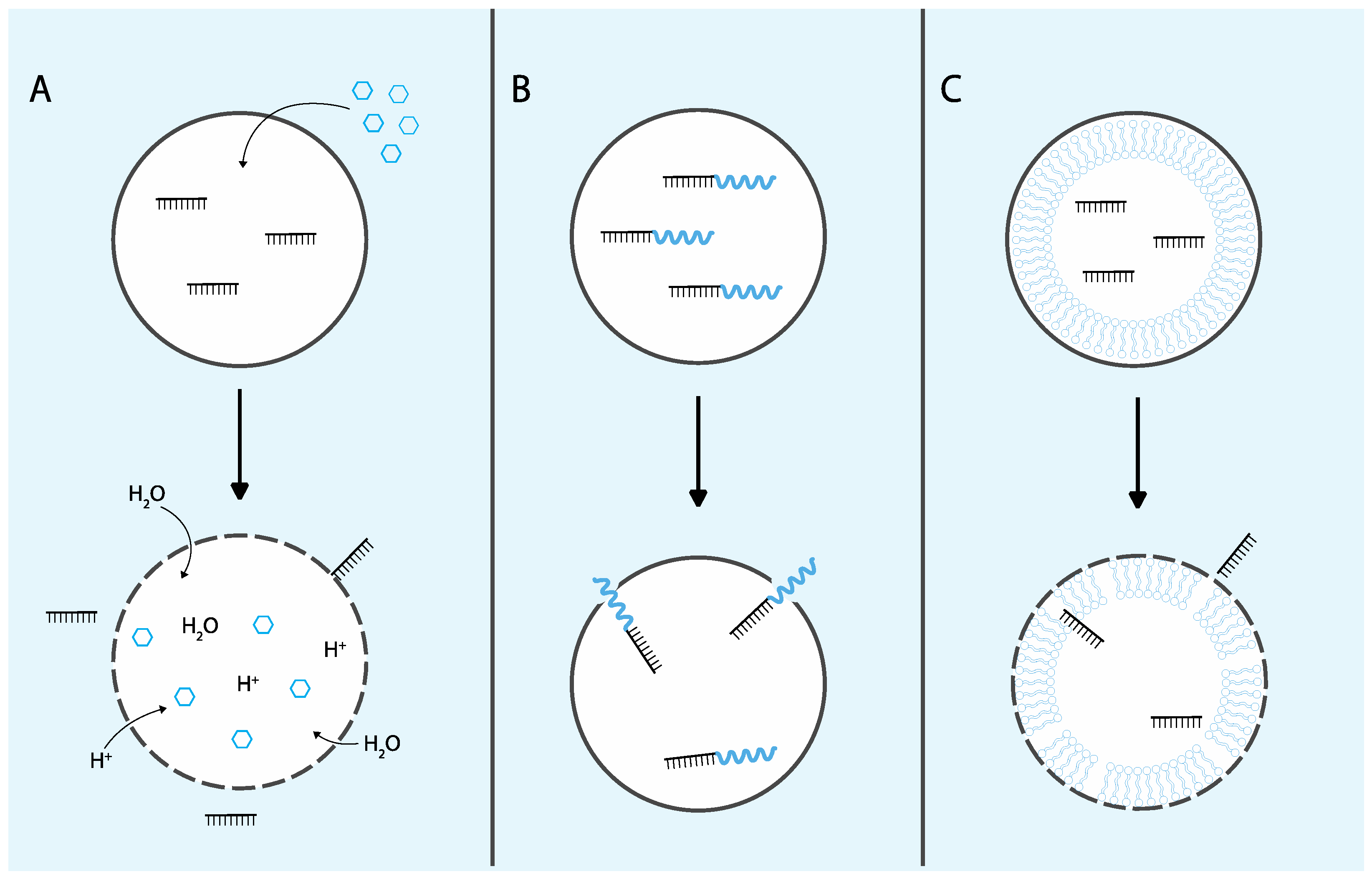 Molecules 29 05997 g002