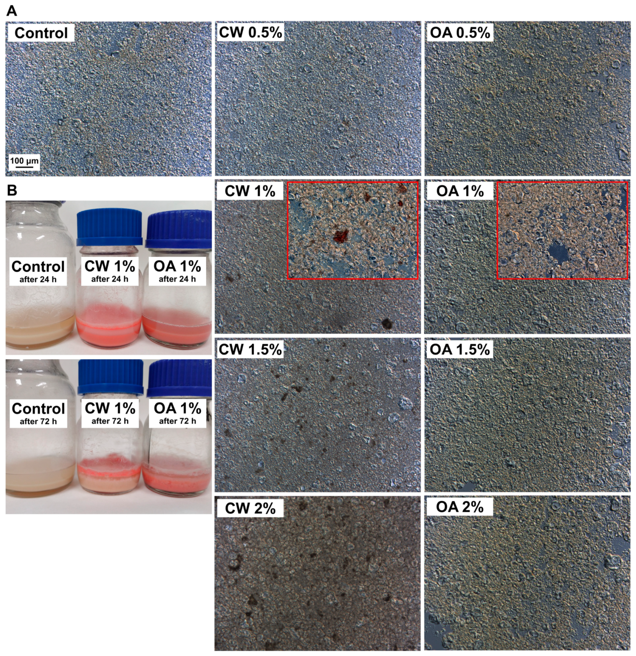 Molecules 29 05998 g002