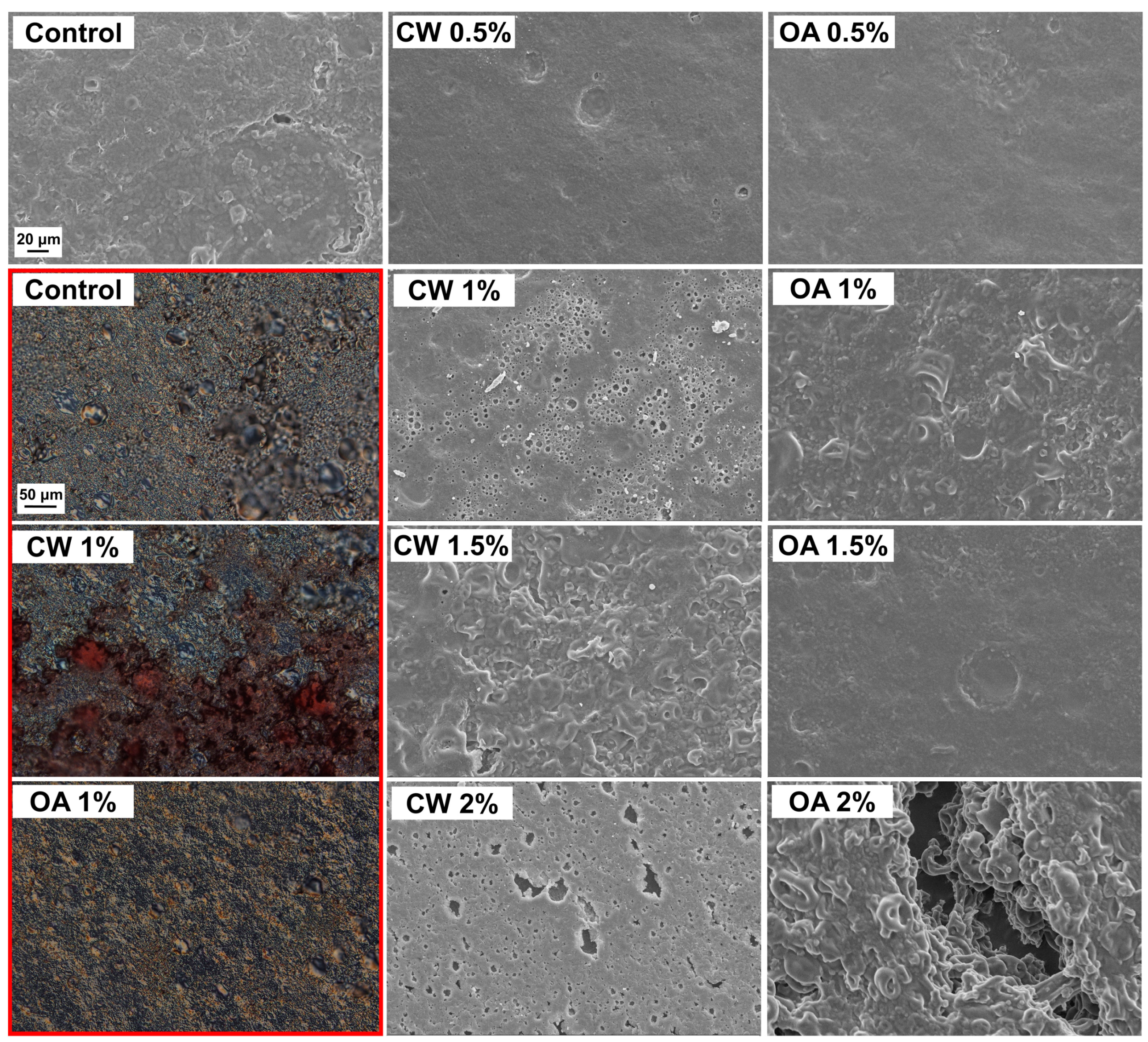 Molecules 29 05998 g003