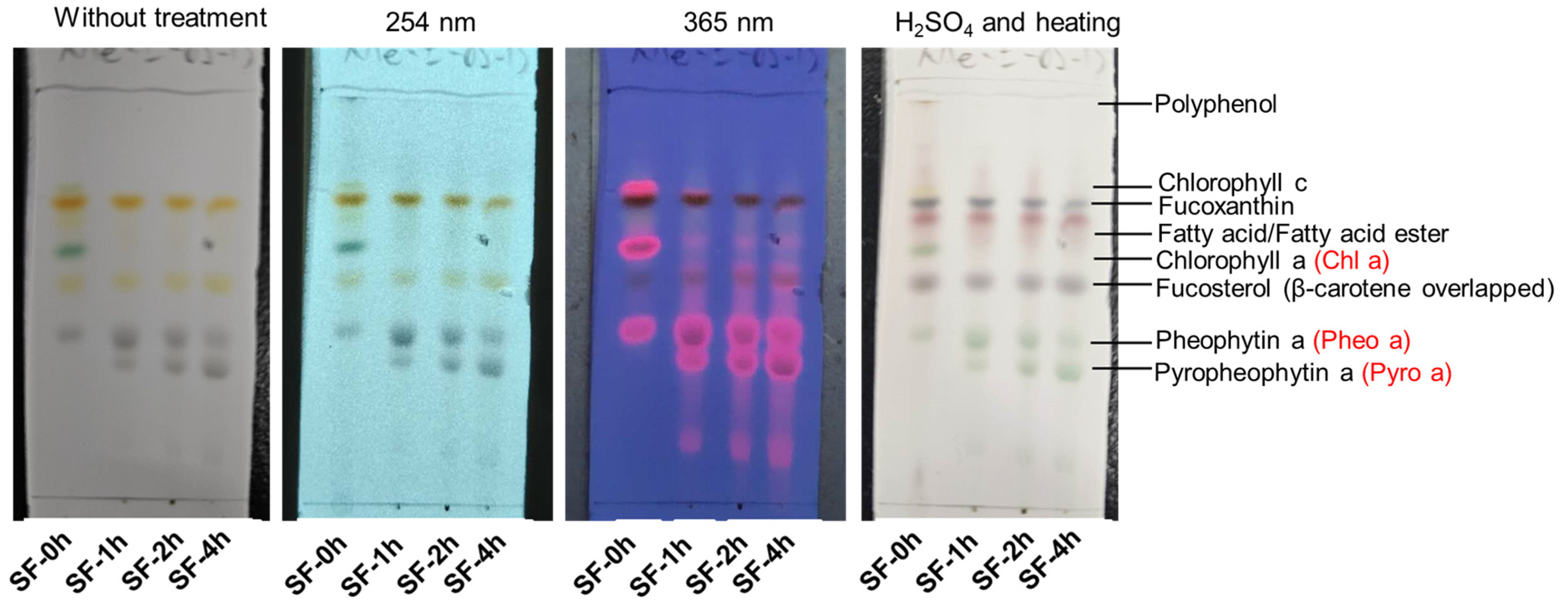 Molecules 29 06000 g002 Molecules 29 06000 g002