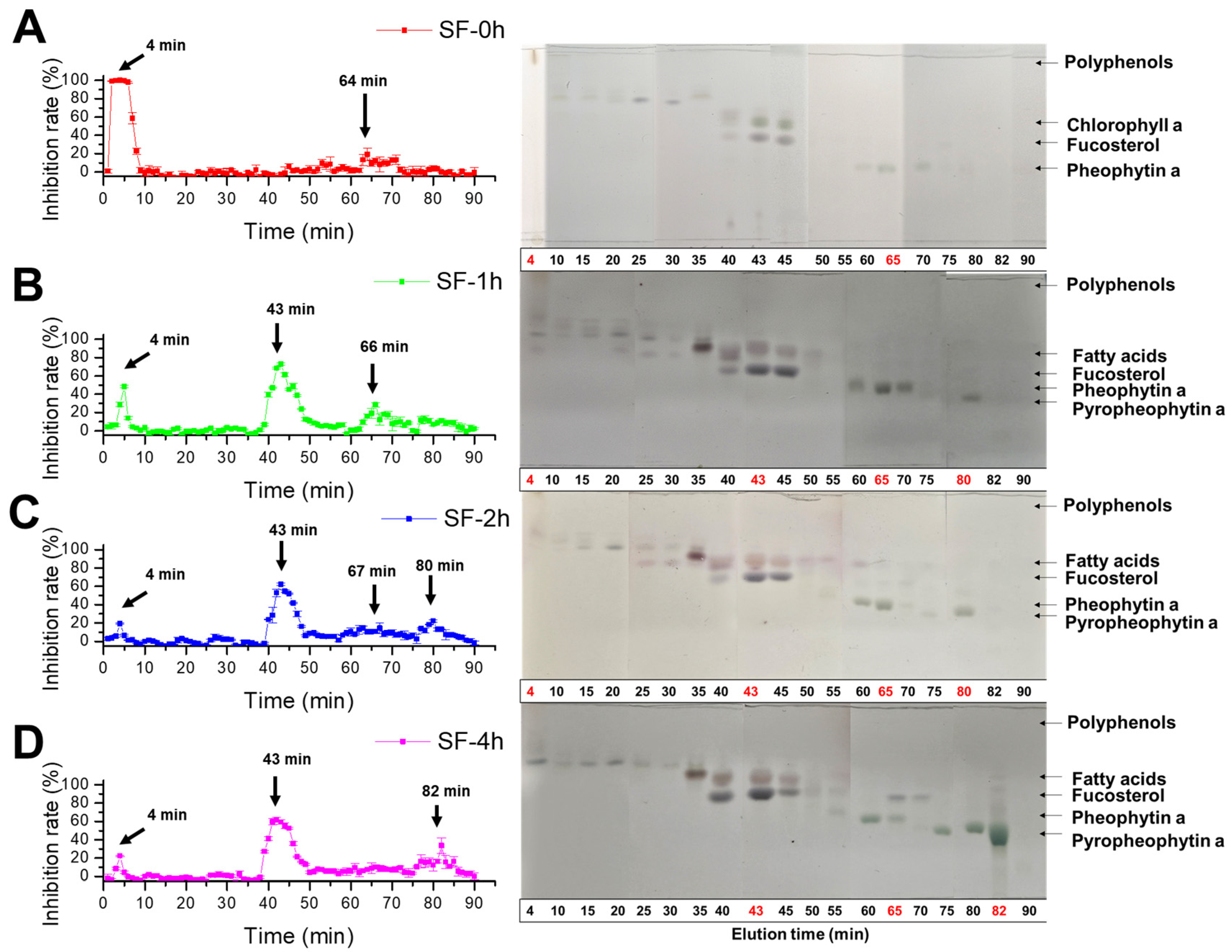 Molecules 29 06000 g005 Molecules 29 06000 g005