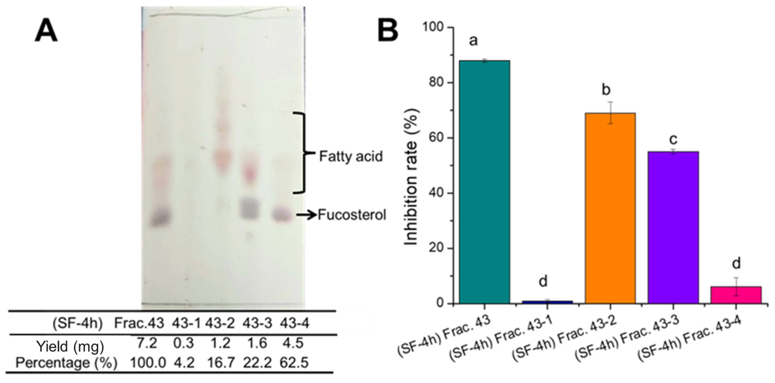 Molecules 29 06000 g006 Molecules 29 06000 g006