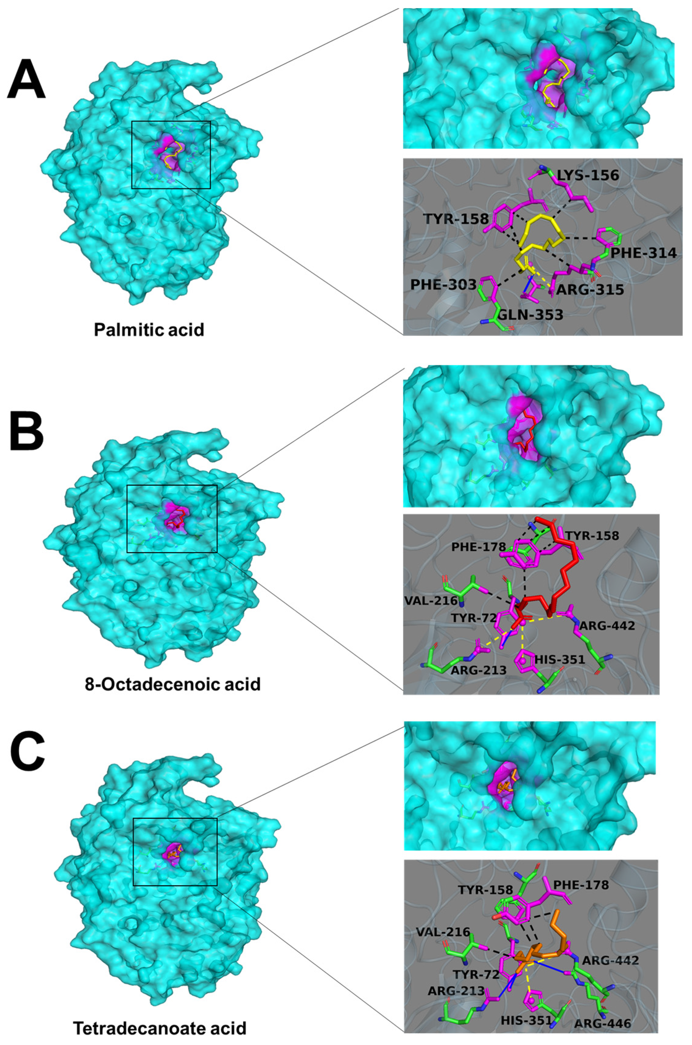 Molecules 29 06000 g008 Molecules 29 06000 g008