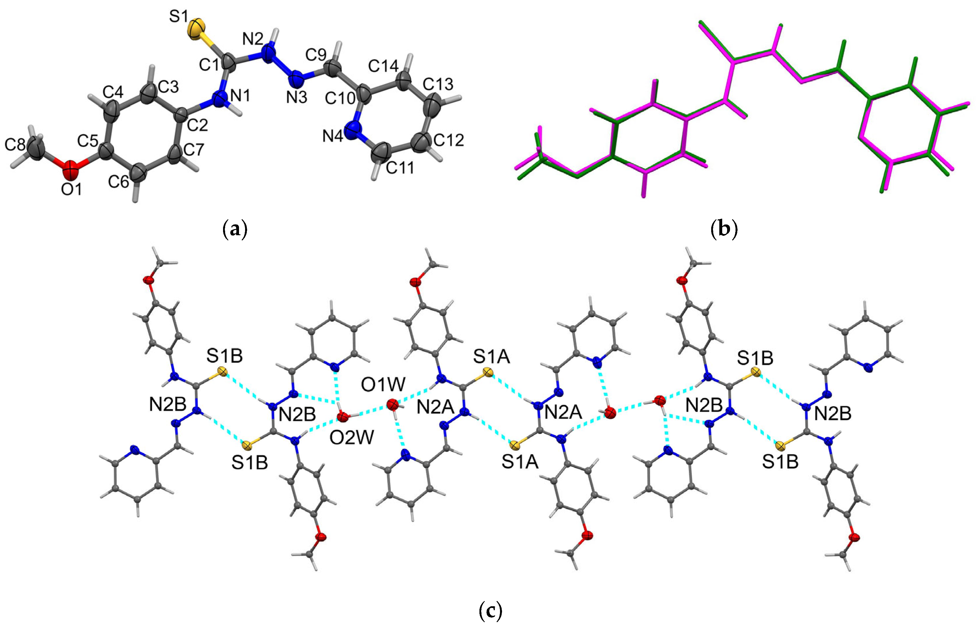 Molecules 29 06002 g003