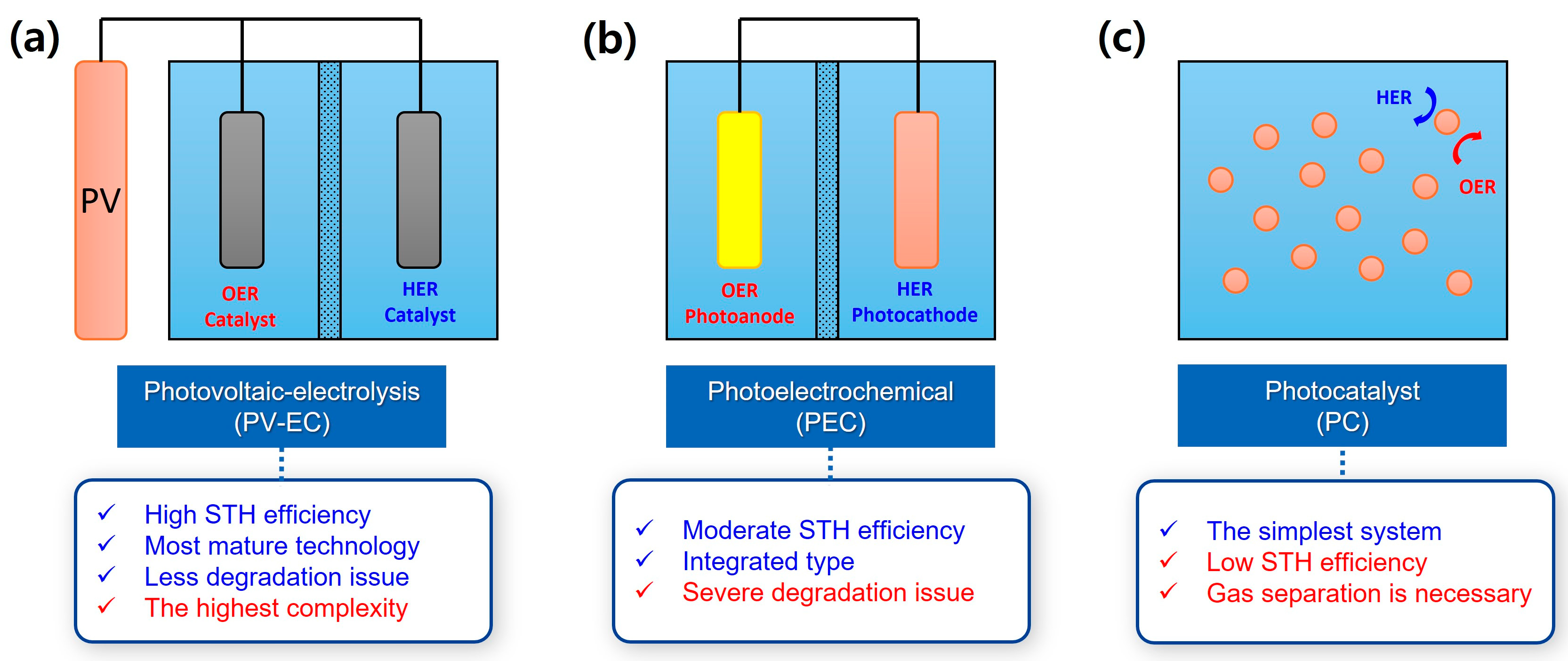 Molecules 29 06003 g001