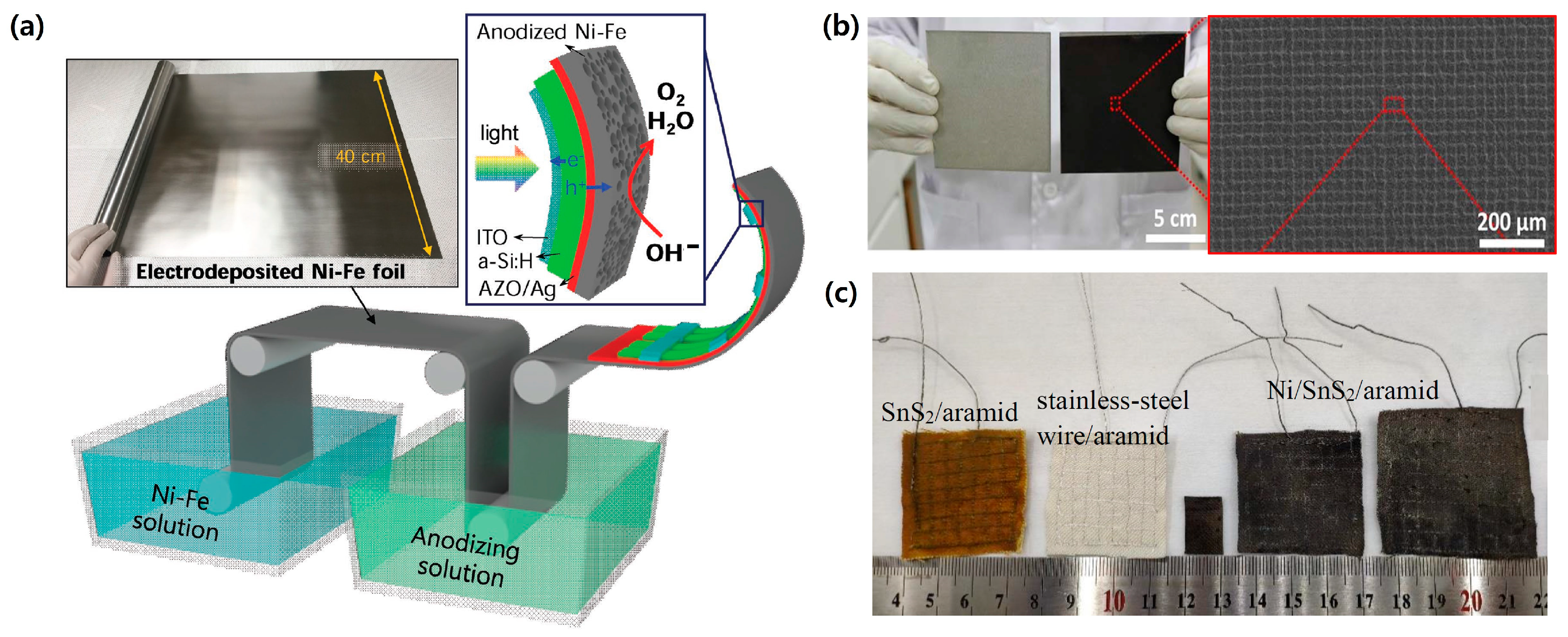 Molecules 29 06003 g002
