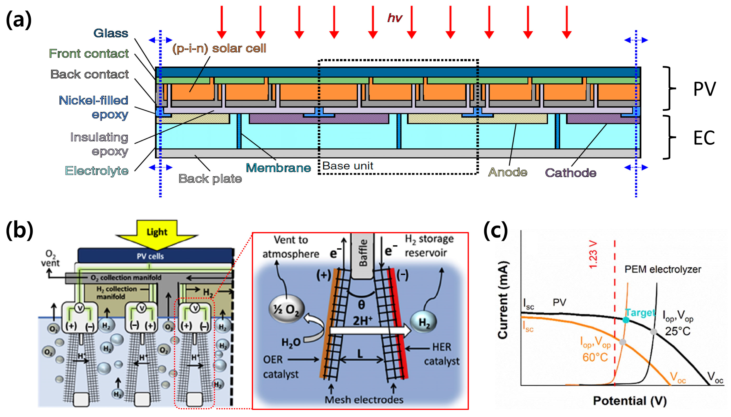 Molecules 29 06003 g003