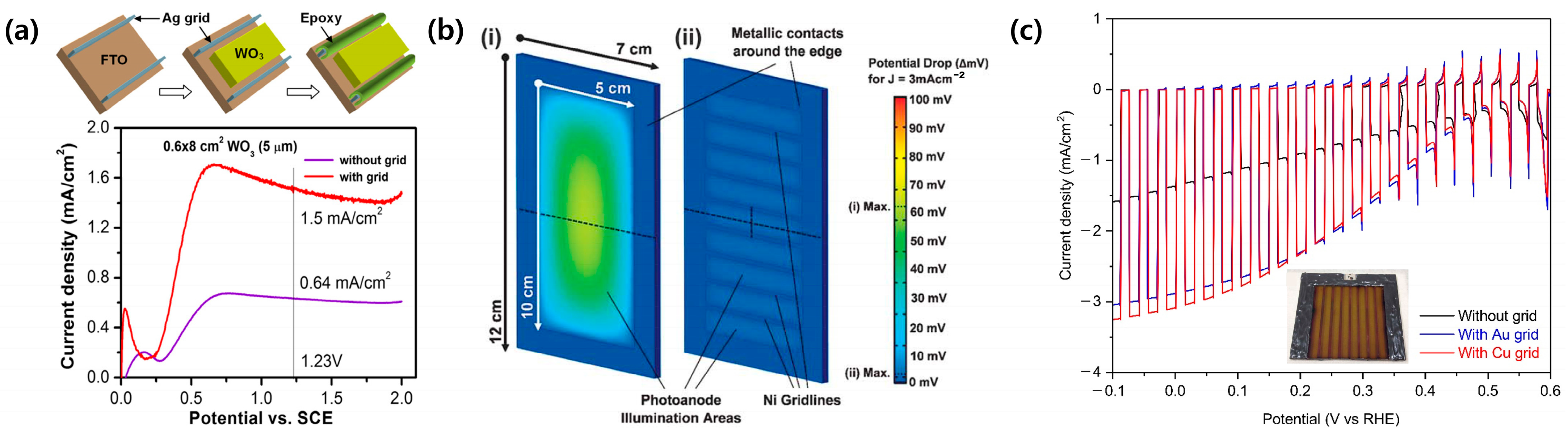 Molecules 29 06003 g004
