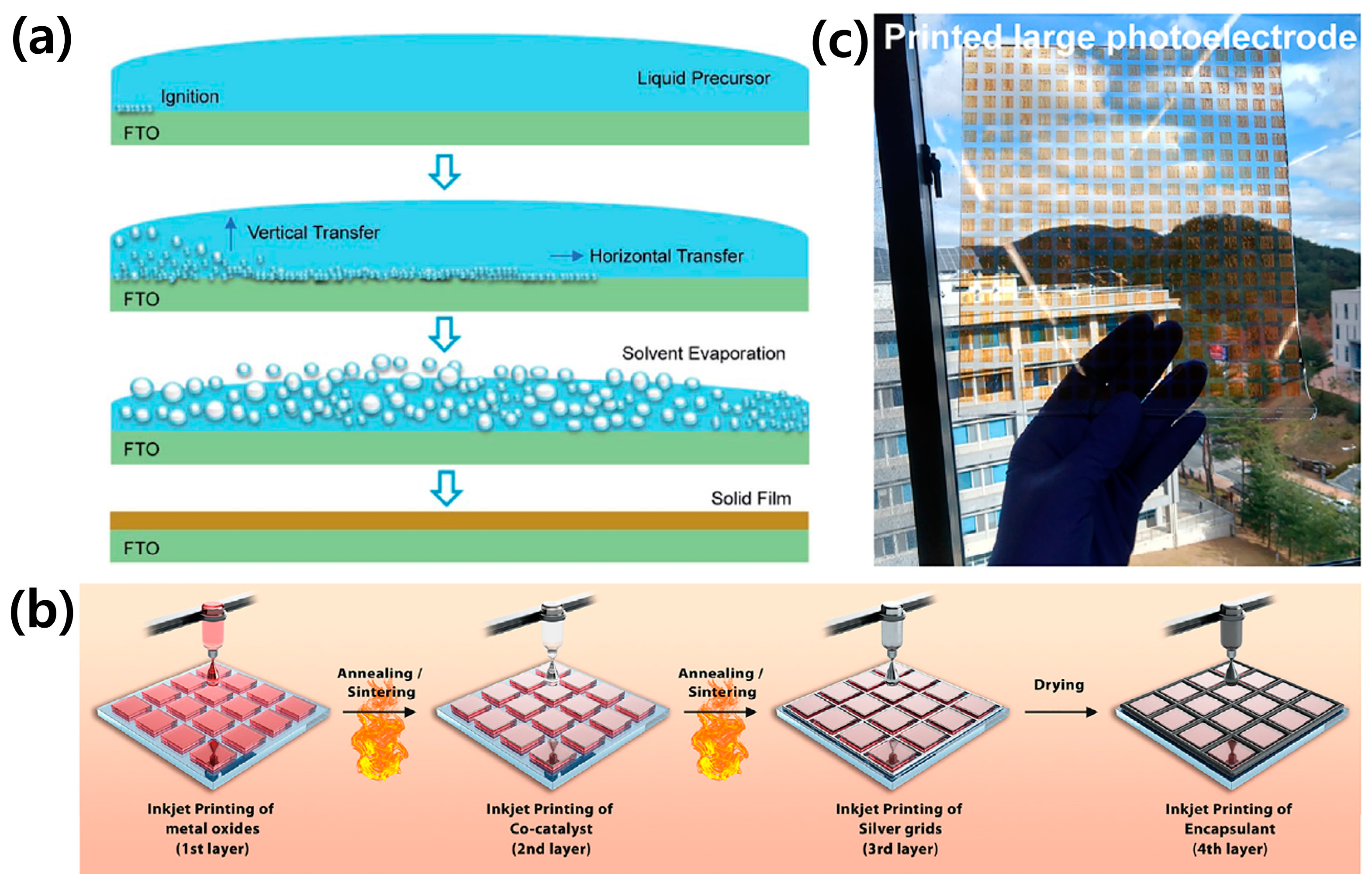Molecules 29 06003 g005