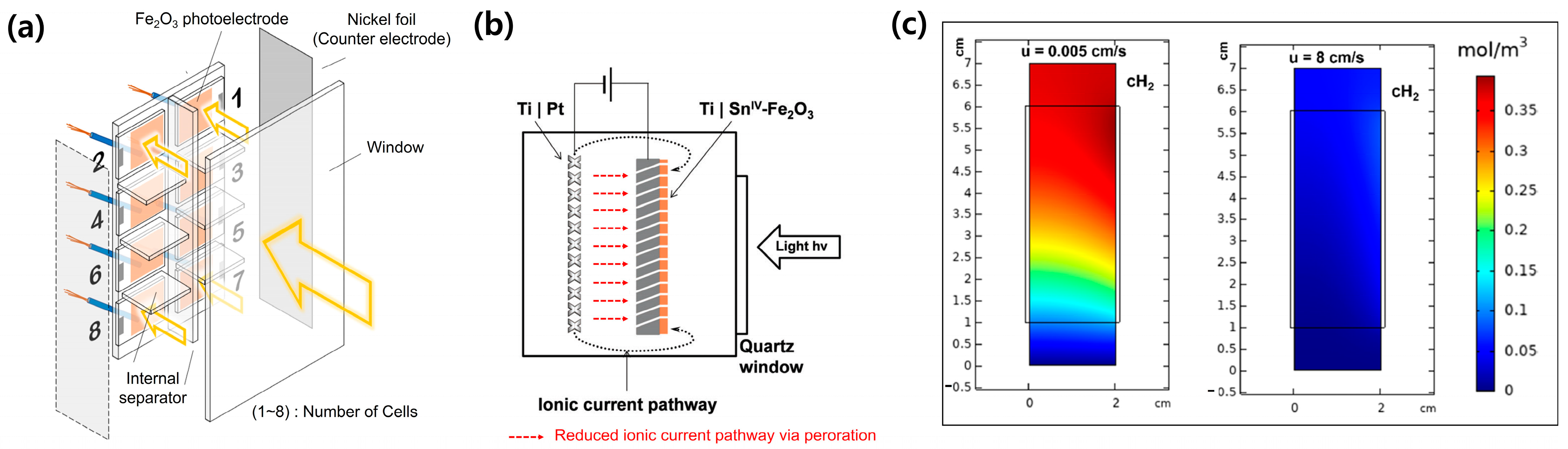 Molecules 29 06003 g006