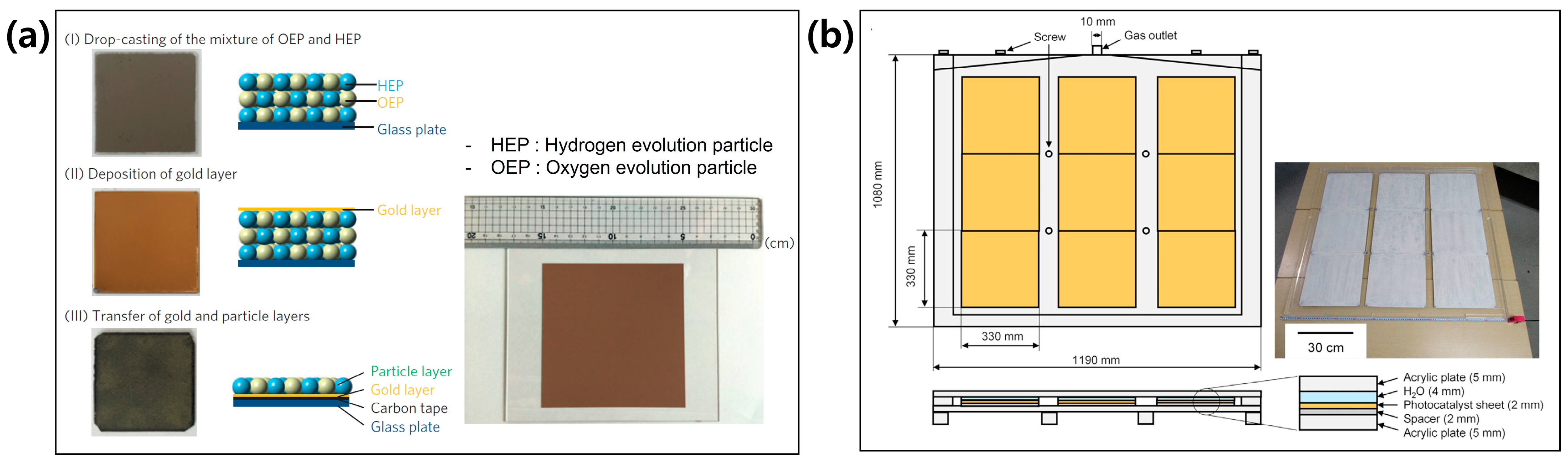 Molecules 29 06003 g008