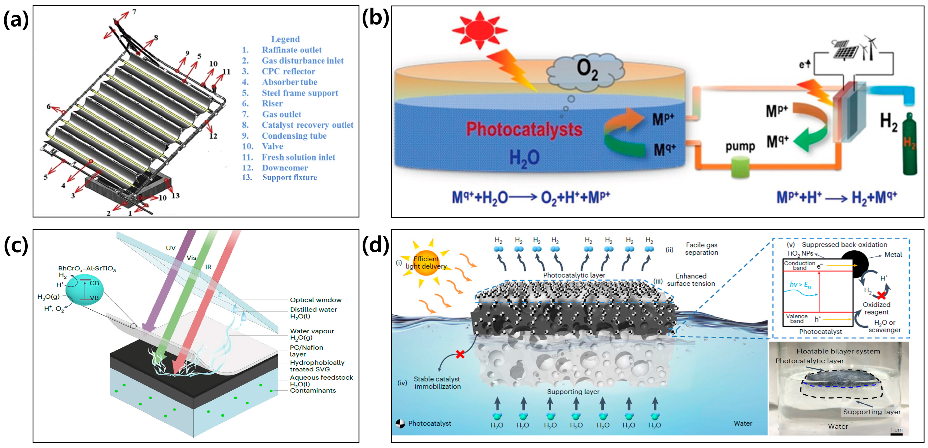 Molecules 29 06003 g009