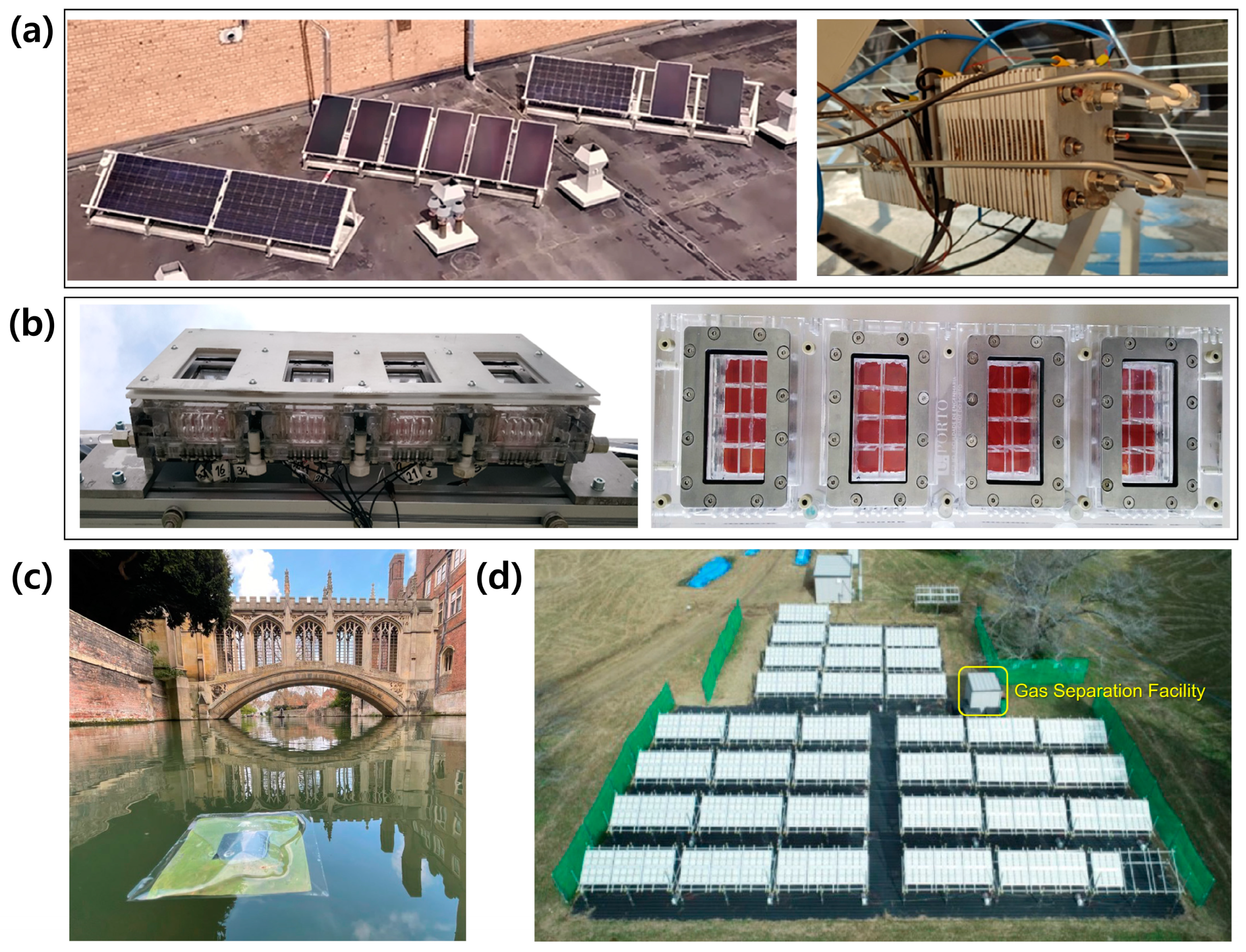 Molecules 29 06003 g010