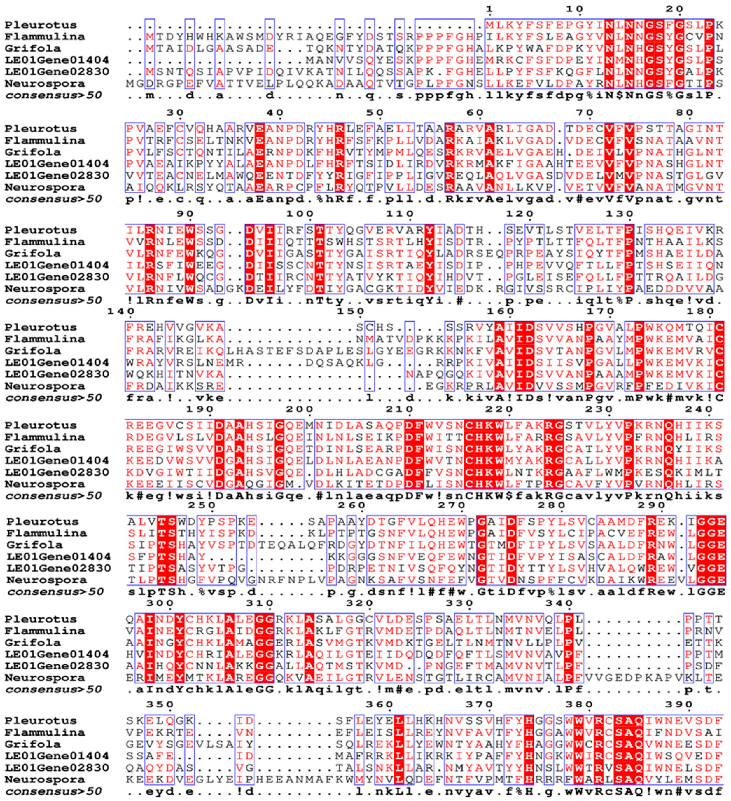 Molecules 29 06005 g002