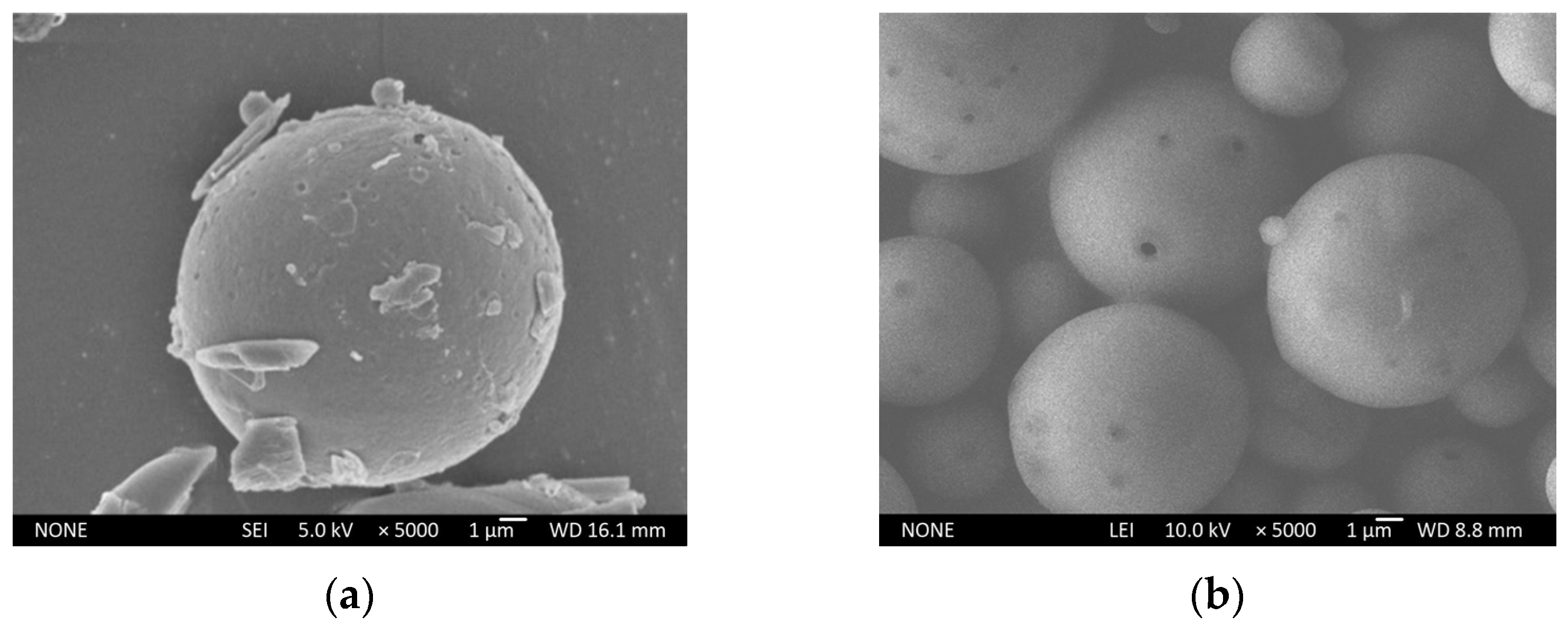 Molecules 29 06008 g006
