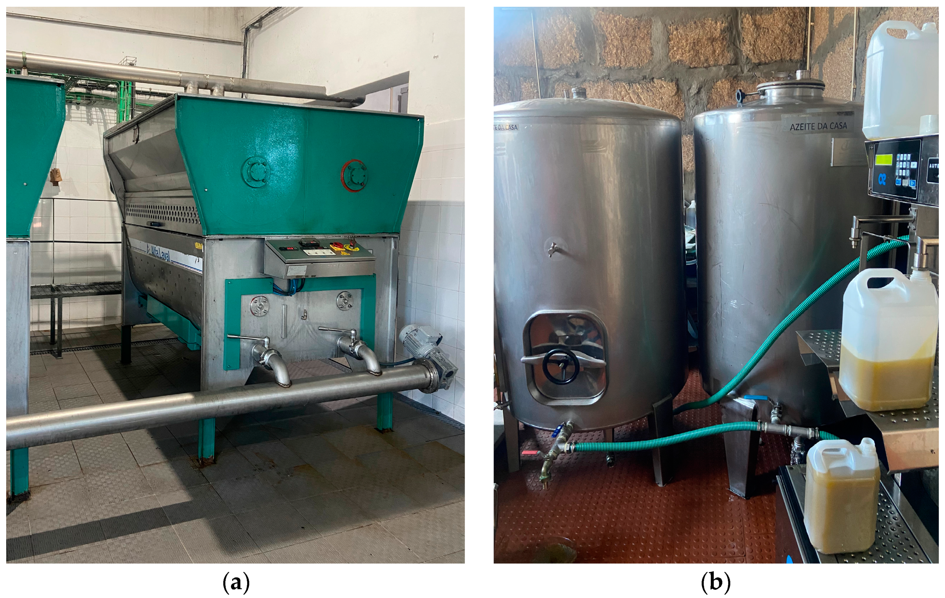 Molecules 29 06013 g004