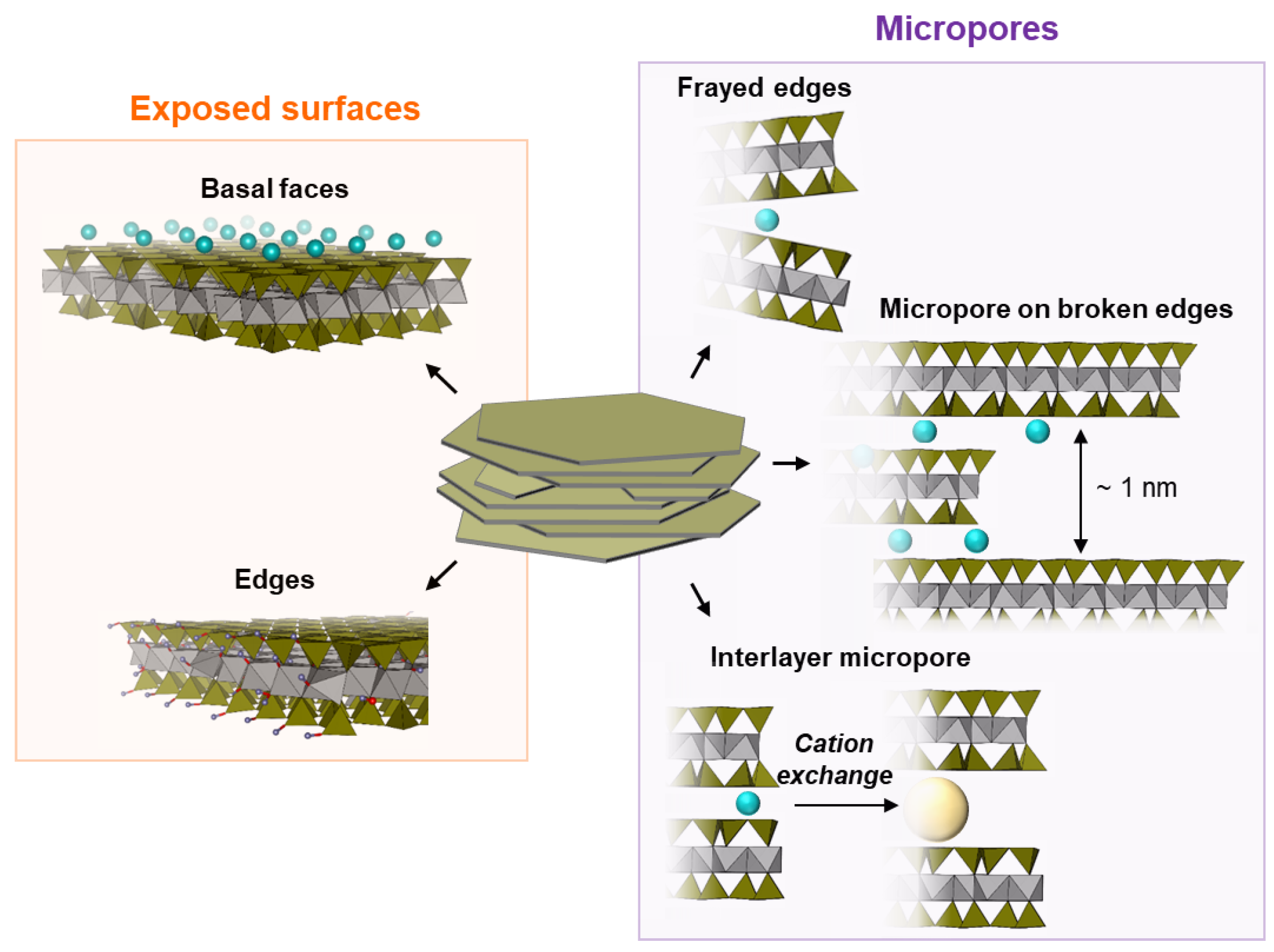 Molecules 29 06019 g001