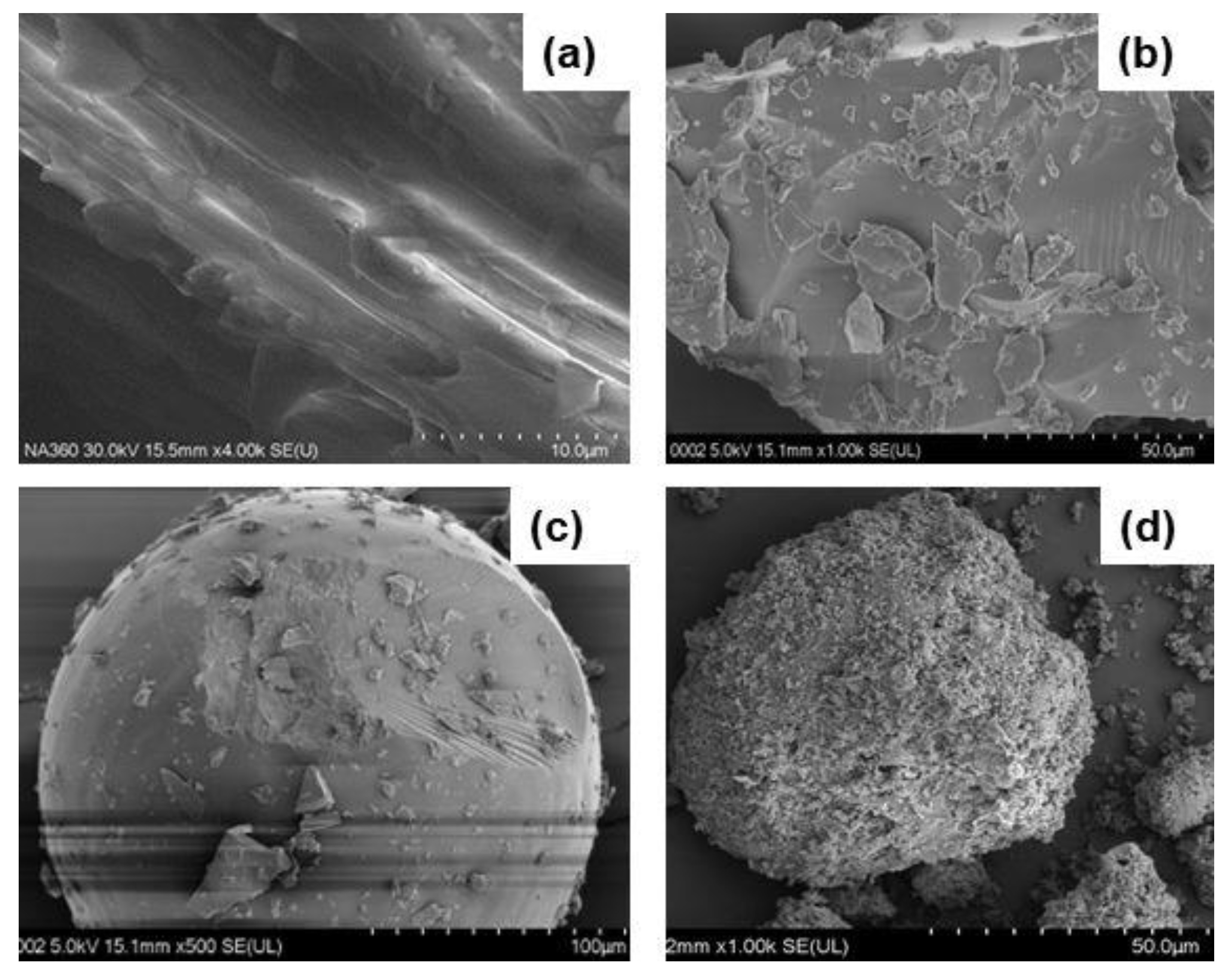 Molecules 29 06020 g006
