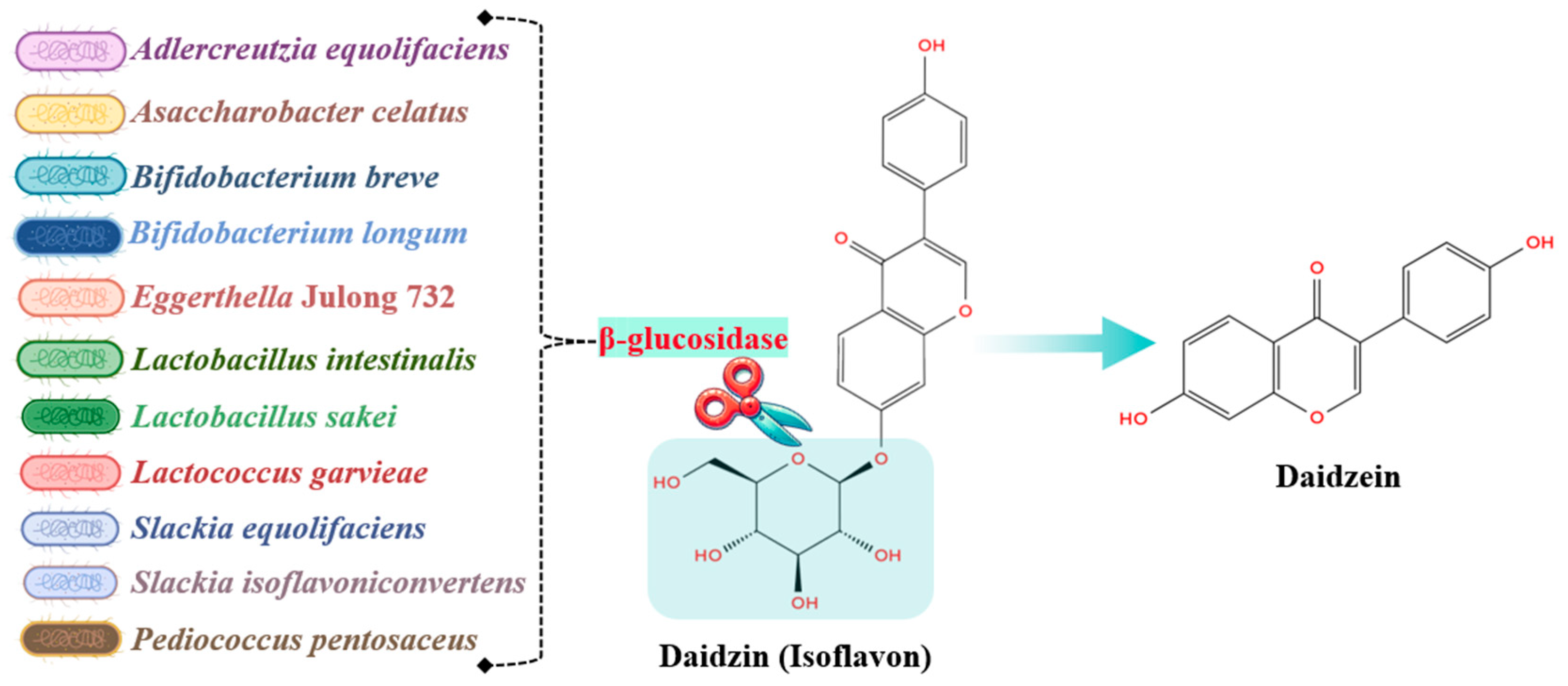 Molecules 29 06026 g003