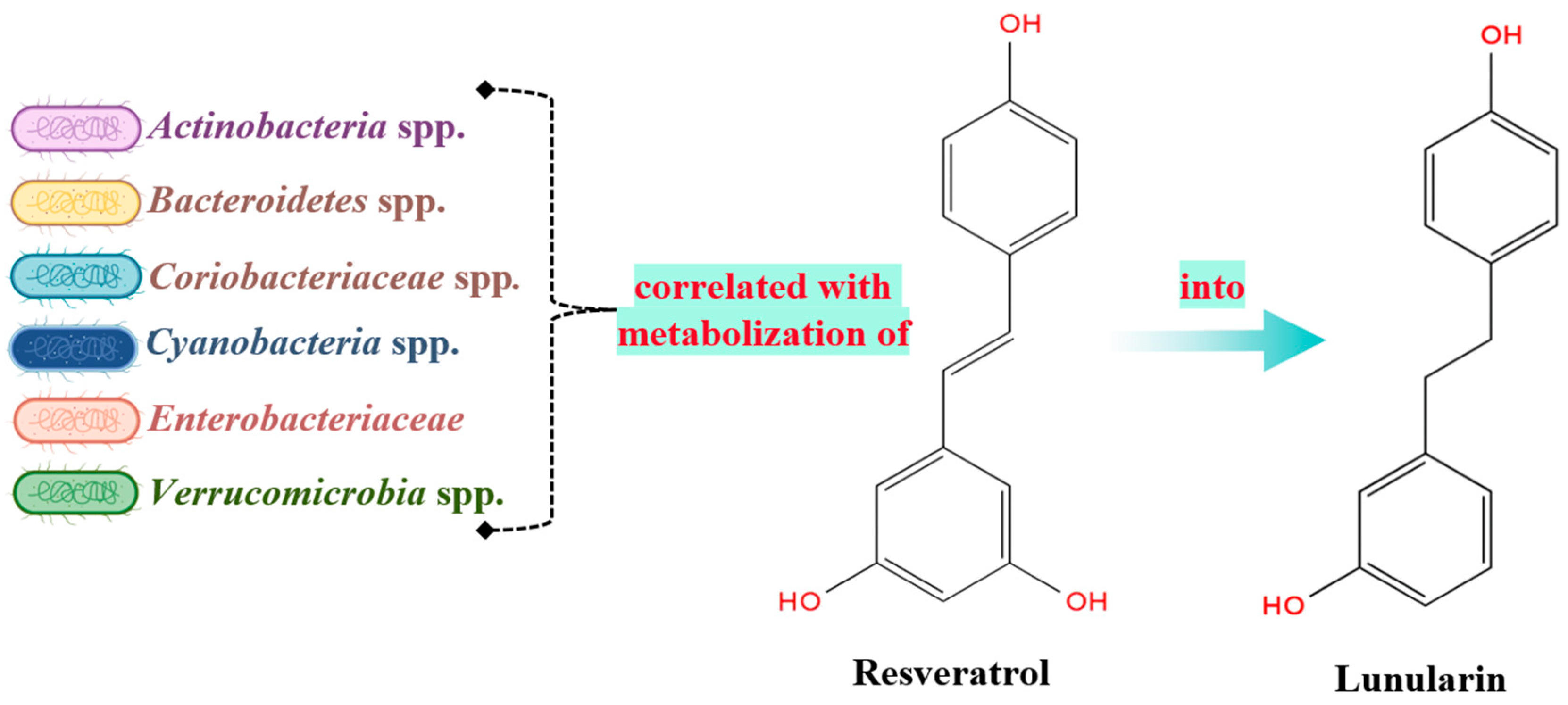 Molecules 29 06026 g005