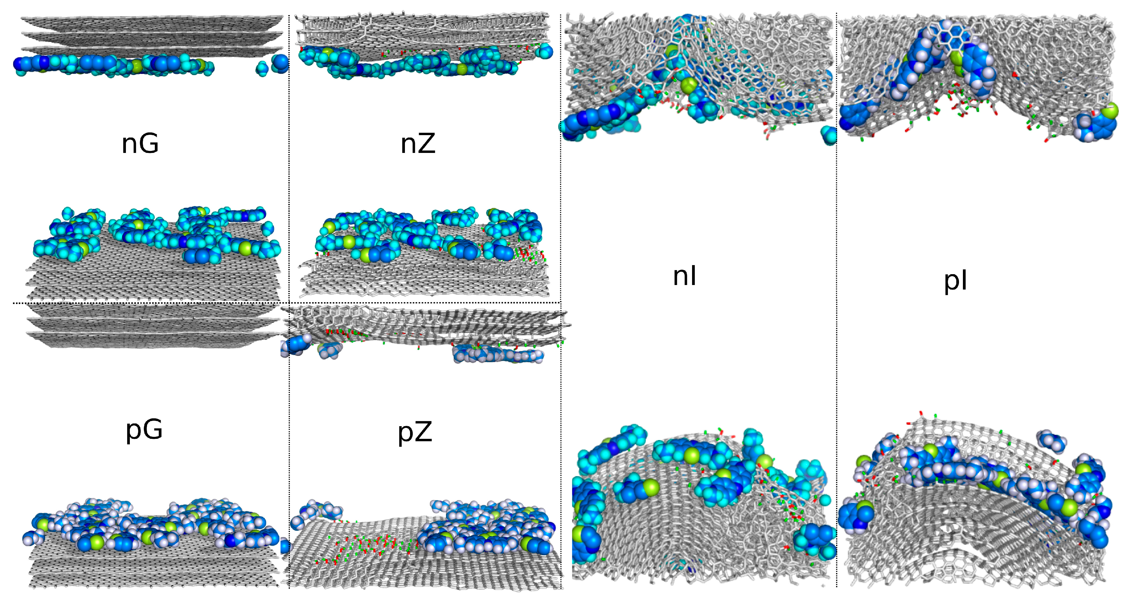Molecules 29 06030 g004