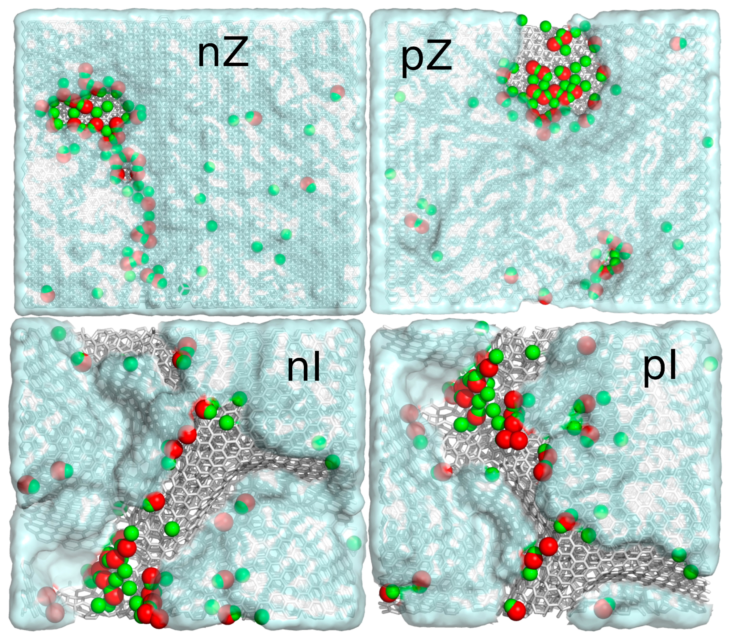 Molecules 29 06030 g006