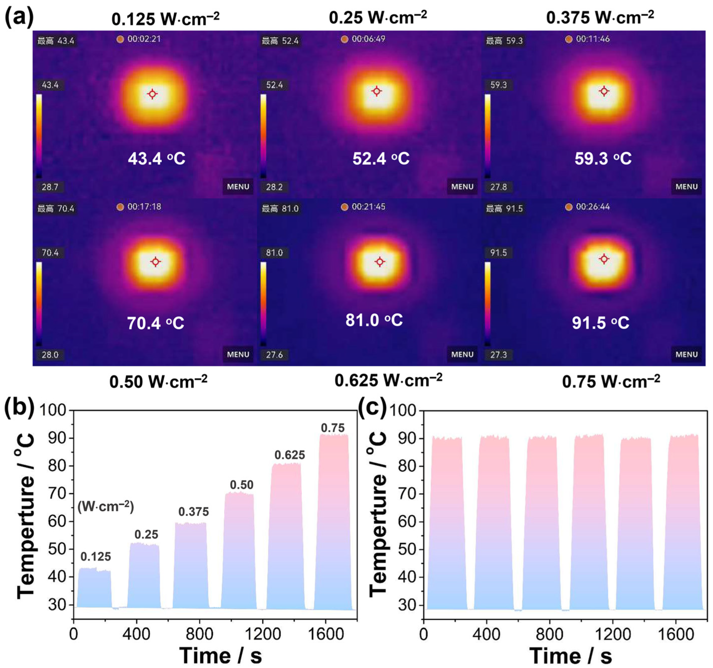 Molecules 29 06034 g003