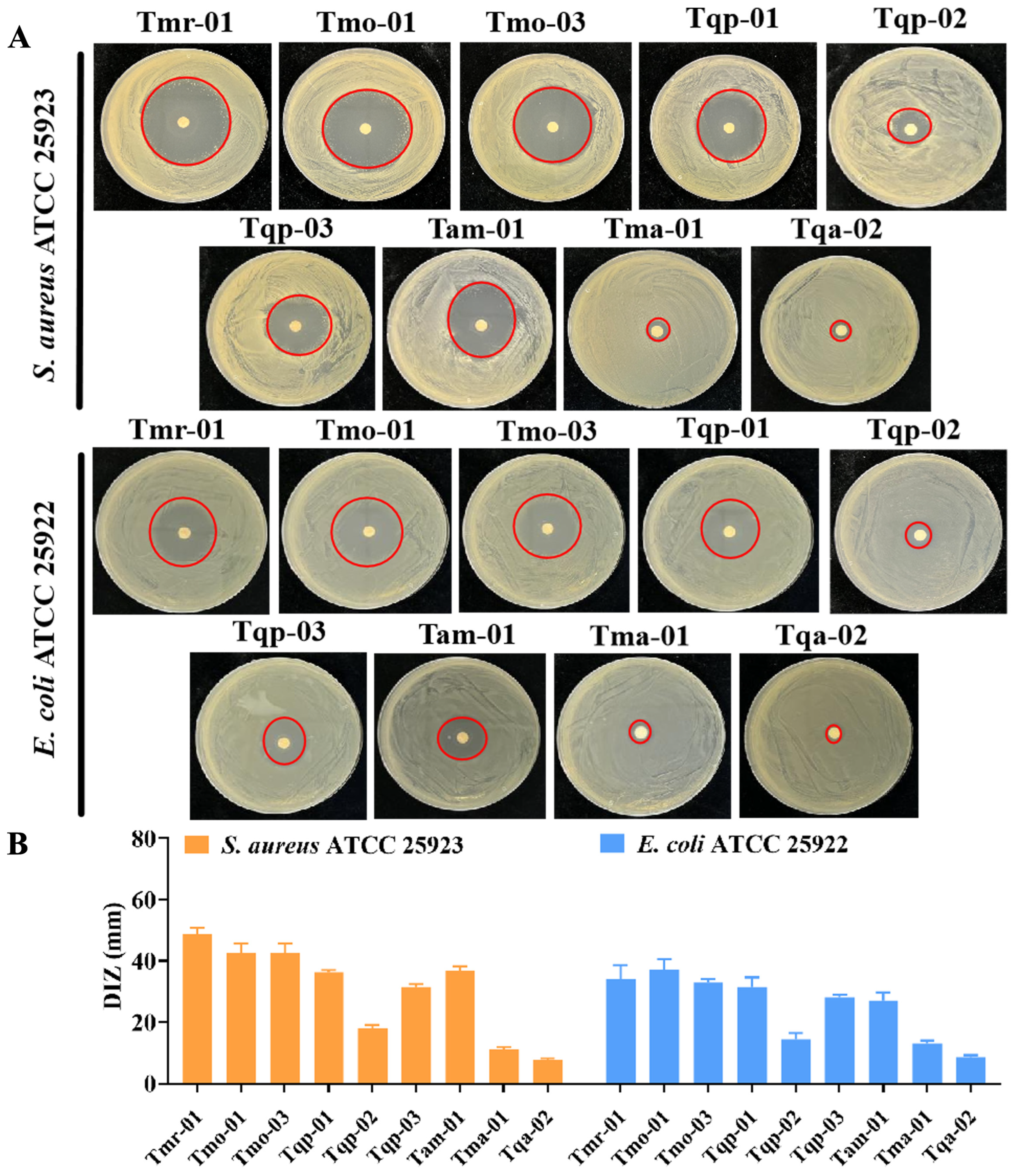 Molecules 29 06035 g004