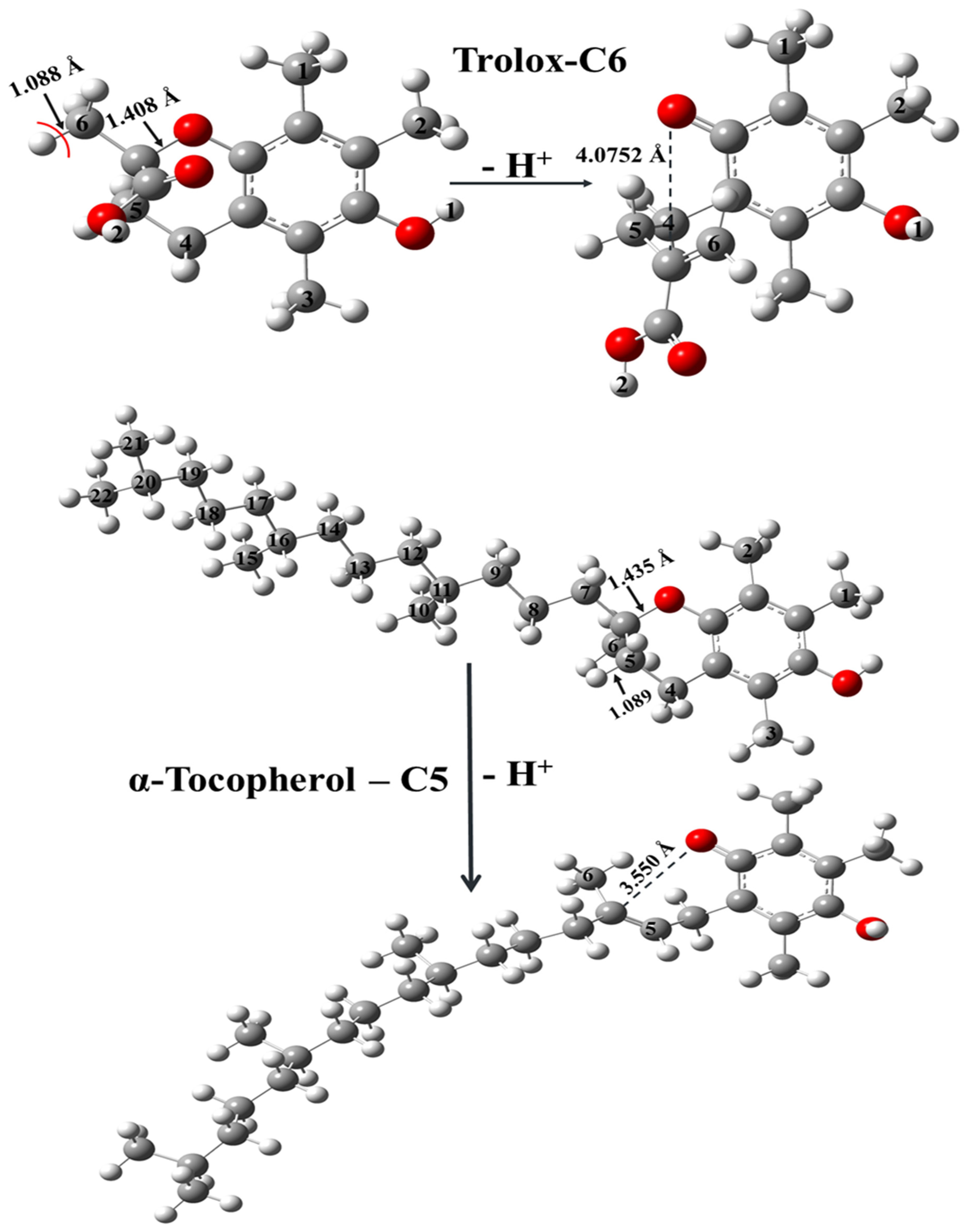 Molecules 29 06037 g006