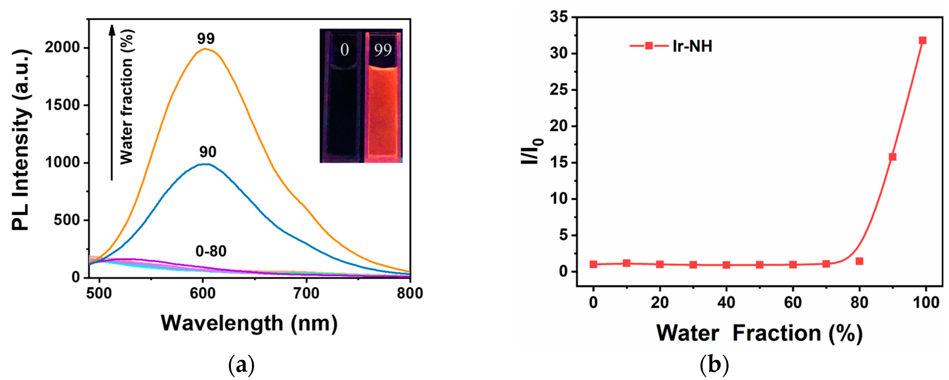 Molecules 29 06041 g001