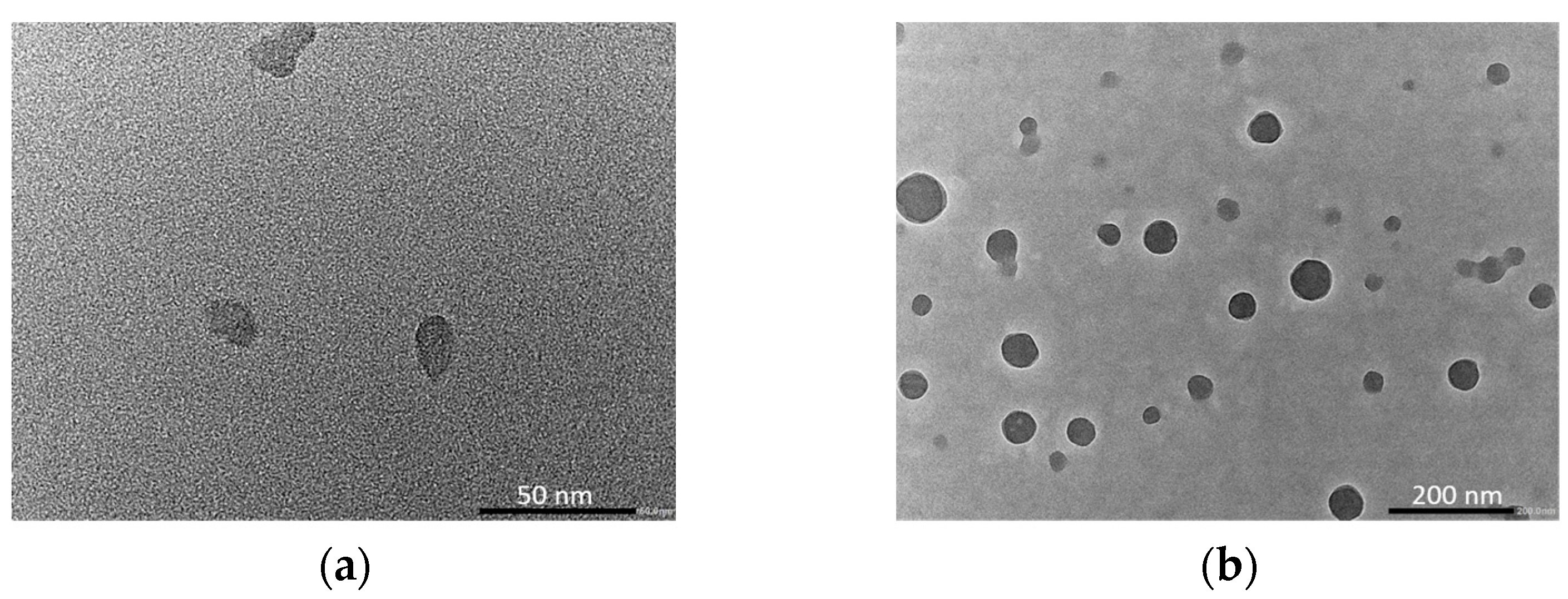 Molecules 29 06041 g002