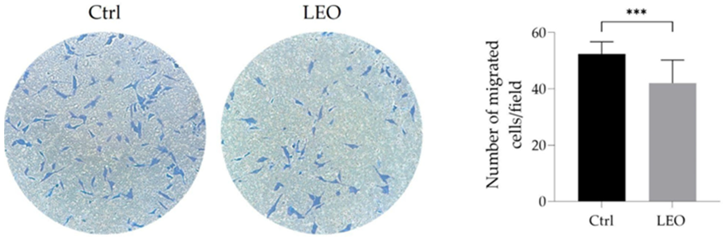 Molecules 29 06044 g003