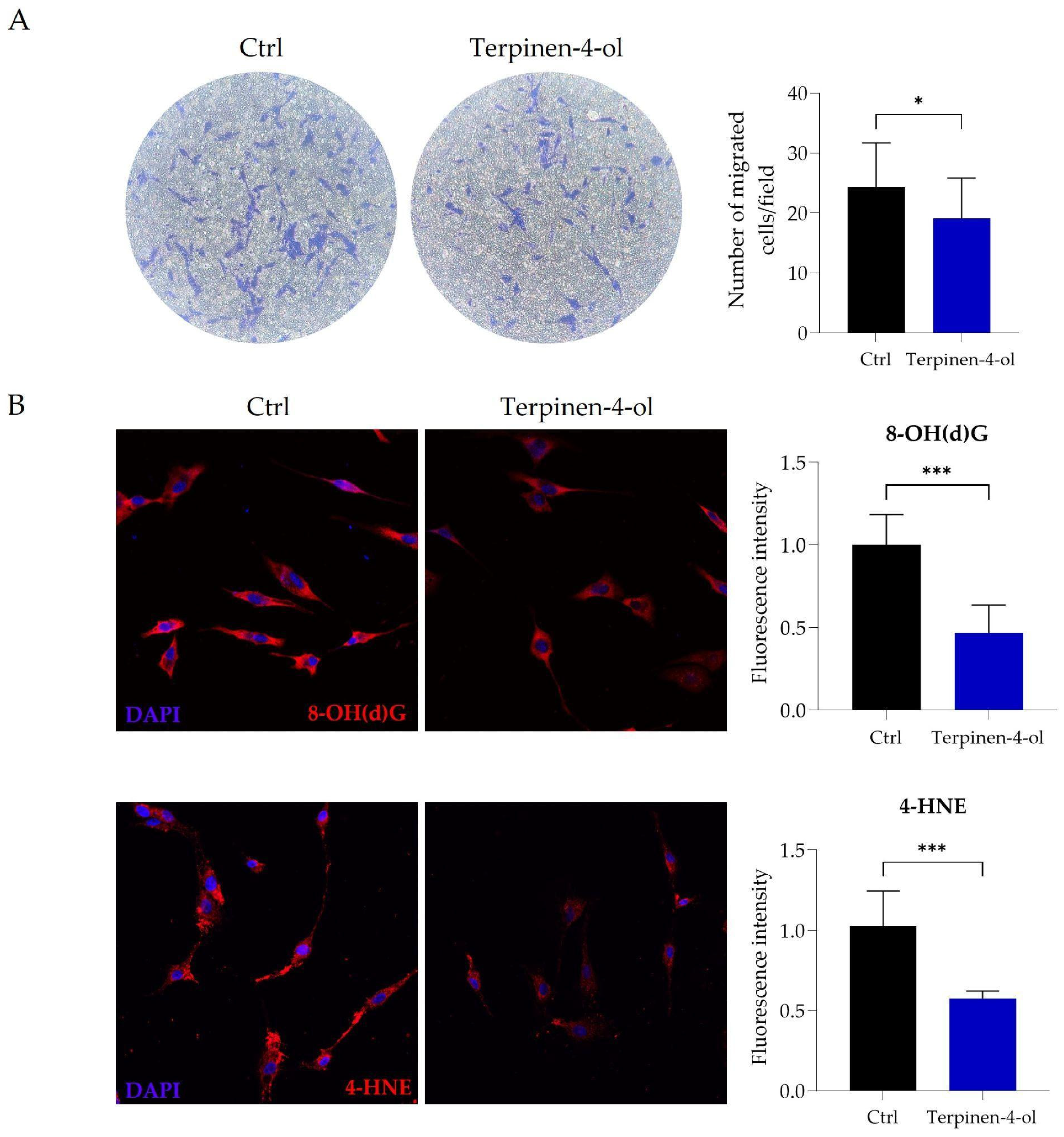 Molecules 29 06044 g007