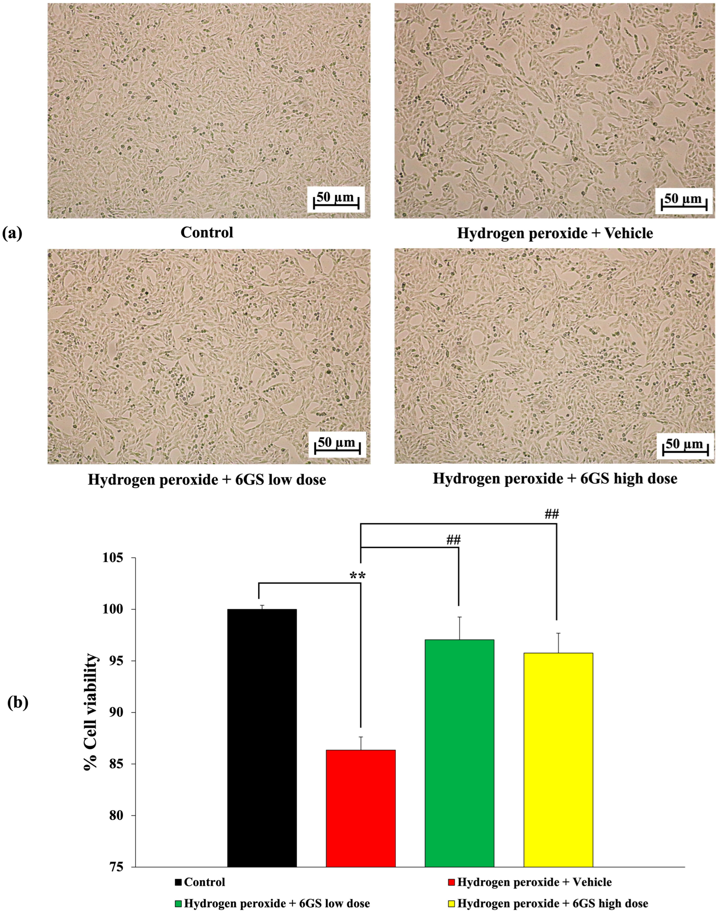 Molecules 29 06046 g003