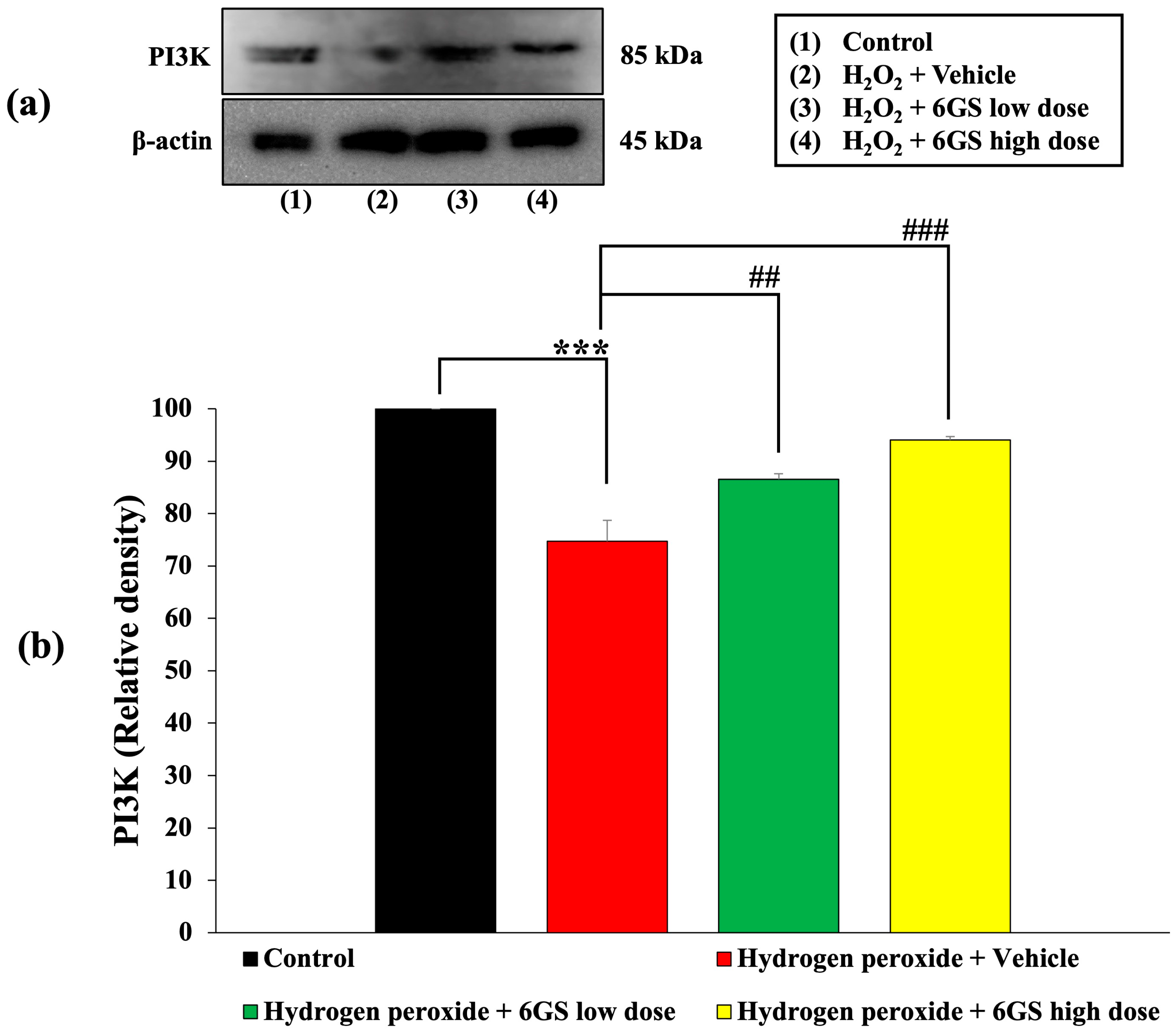 Molecules 29 06046 g005