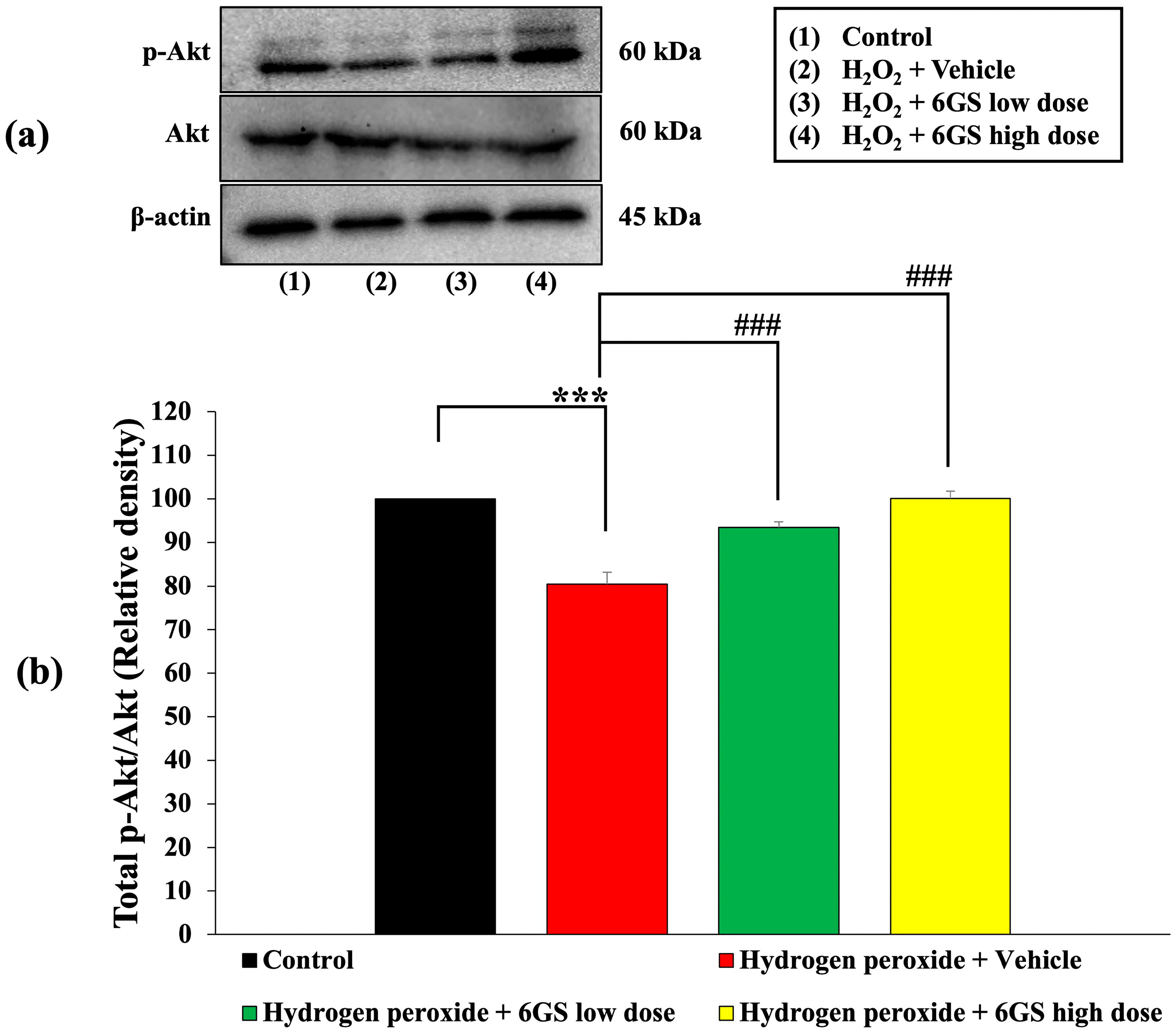 Molecules 29 06046 g006