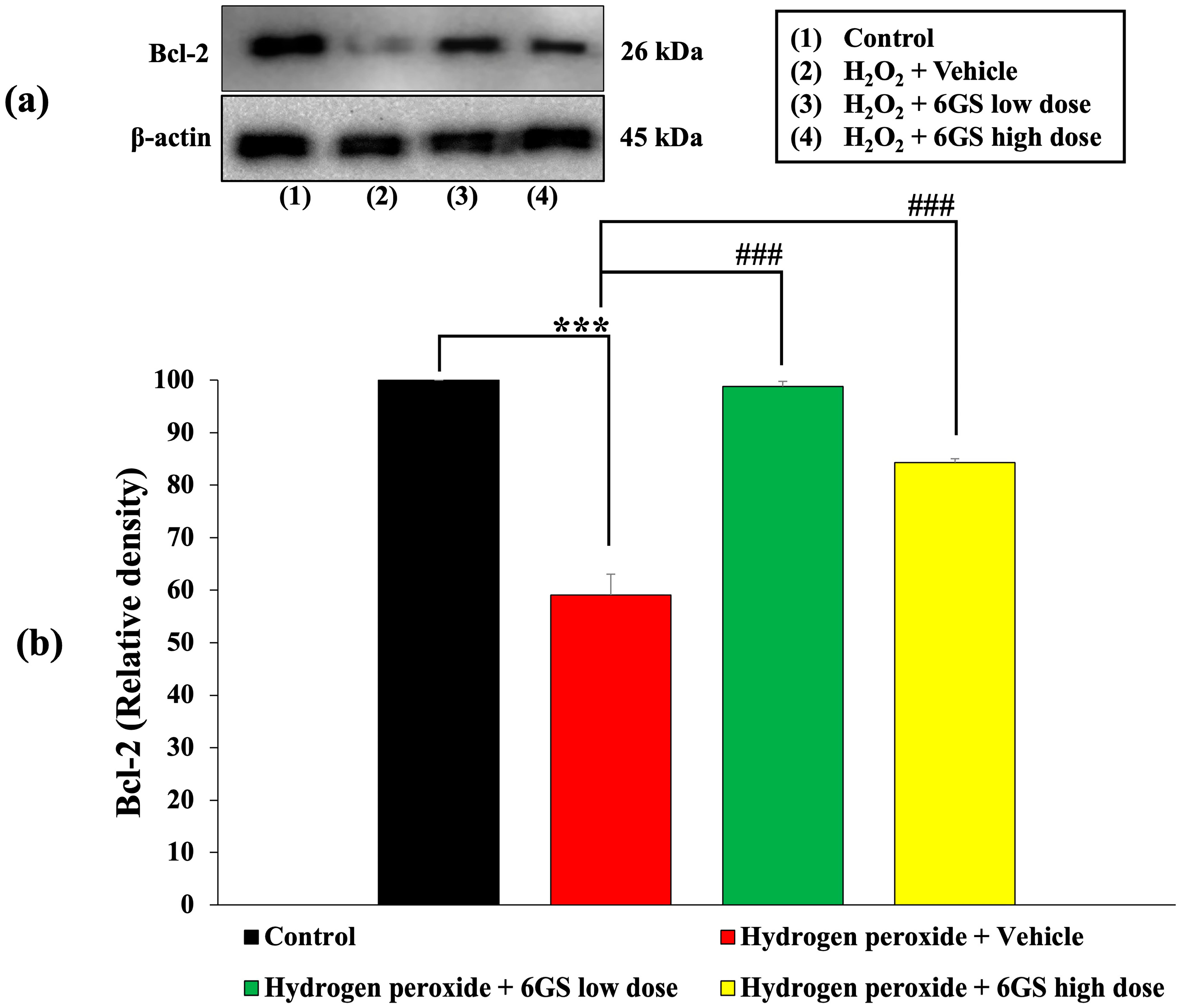 Molecules 29 06046 g007