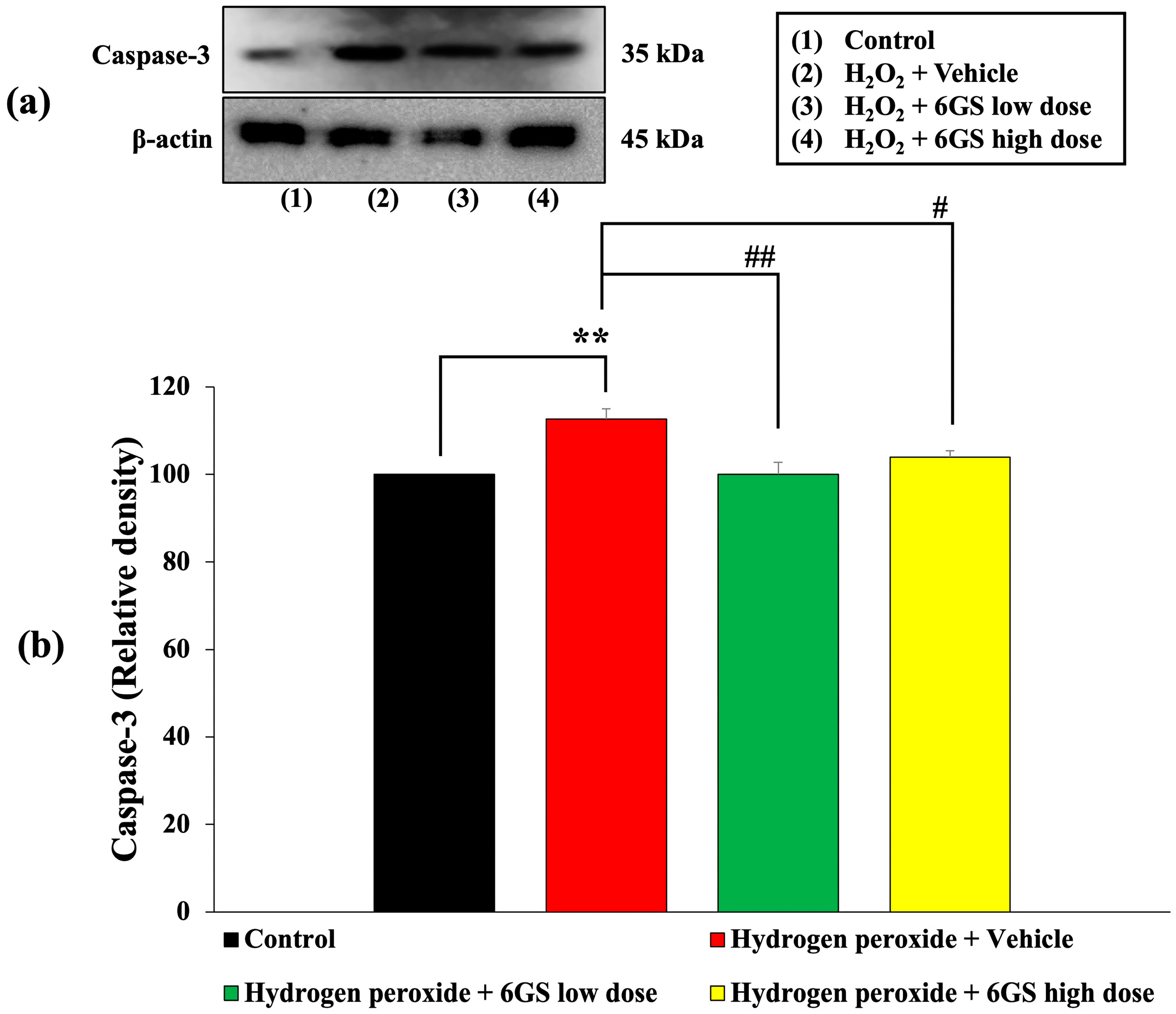 Molecules 29 06046 g008