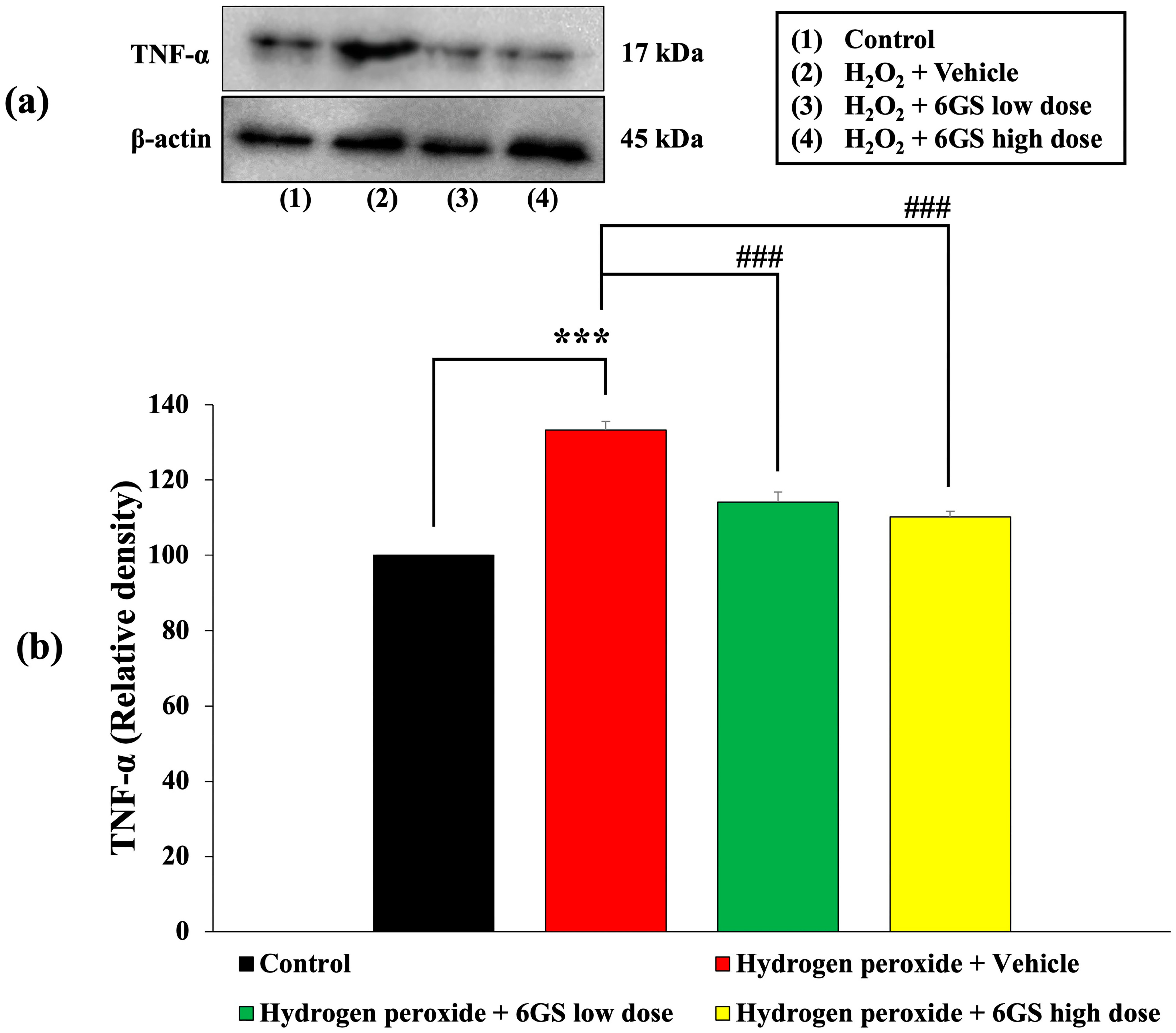 Molecules 29 06046 g009