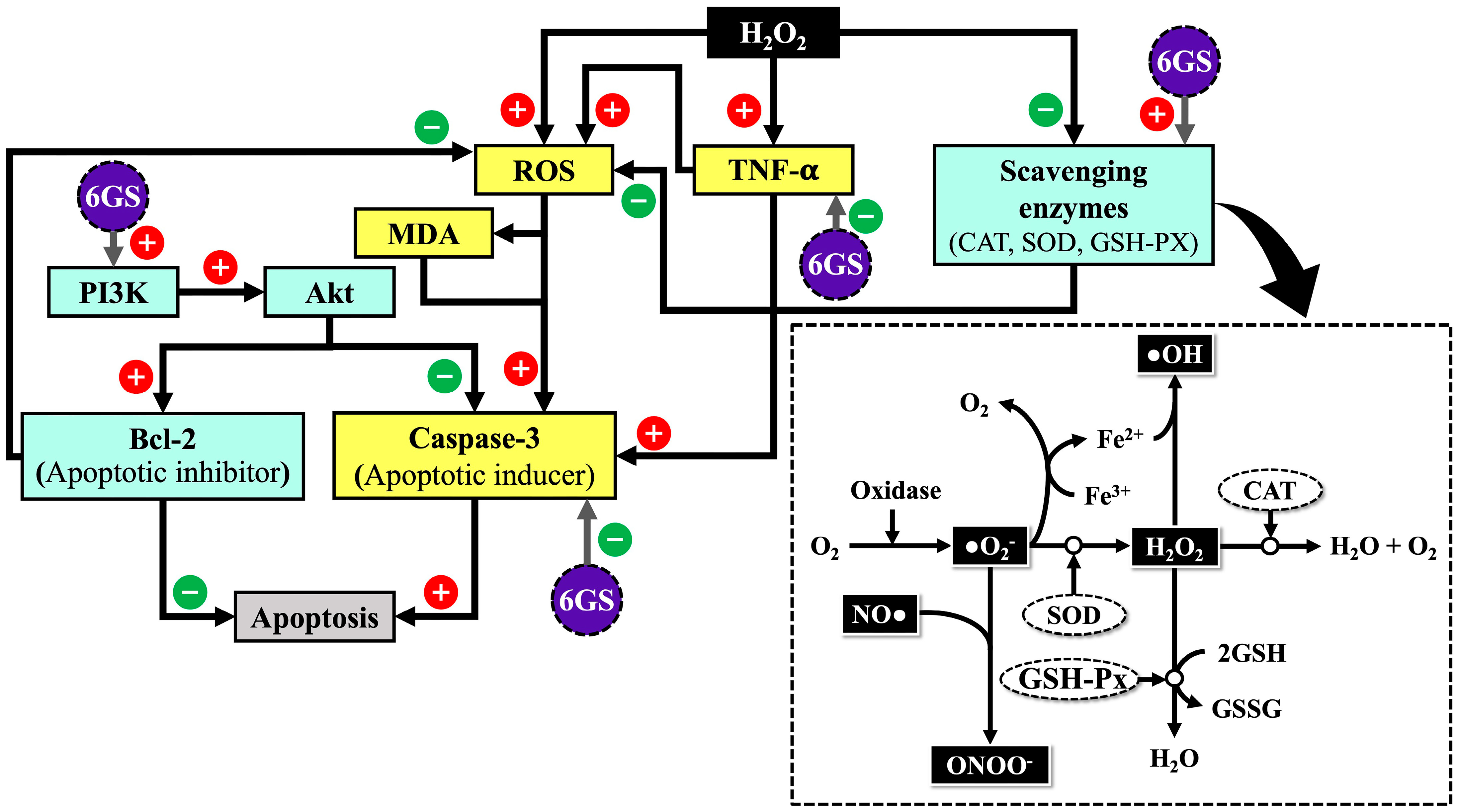 Molecules 29 06046 g010