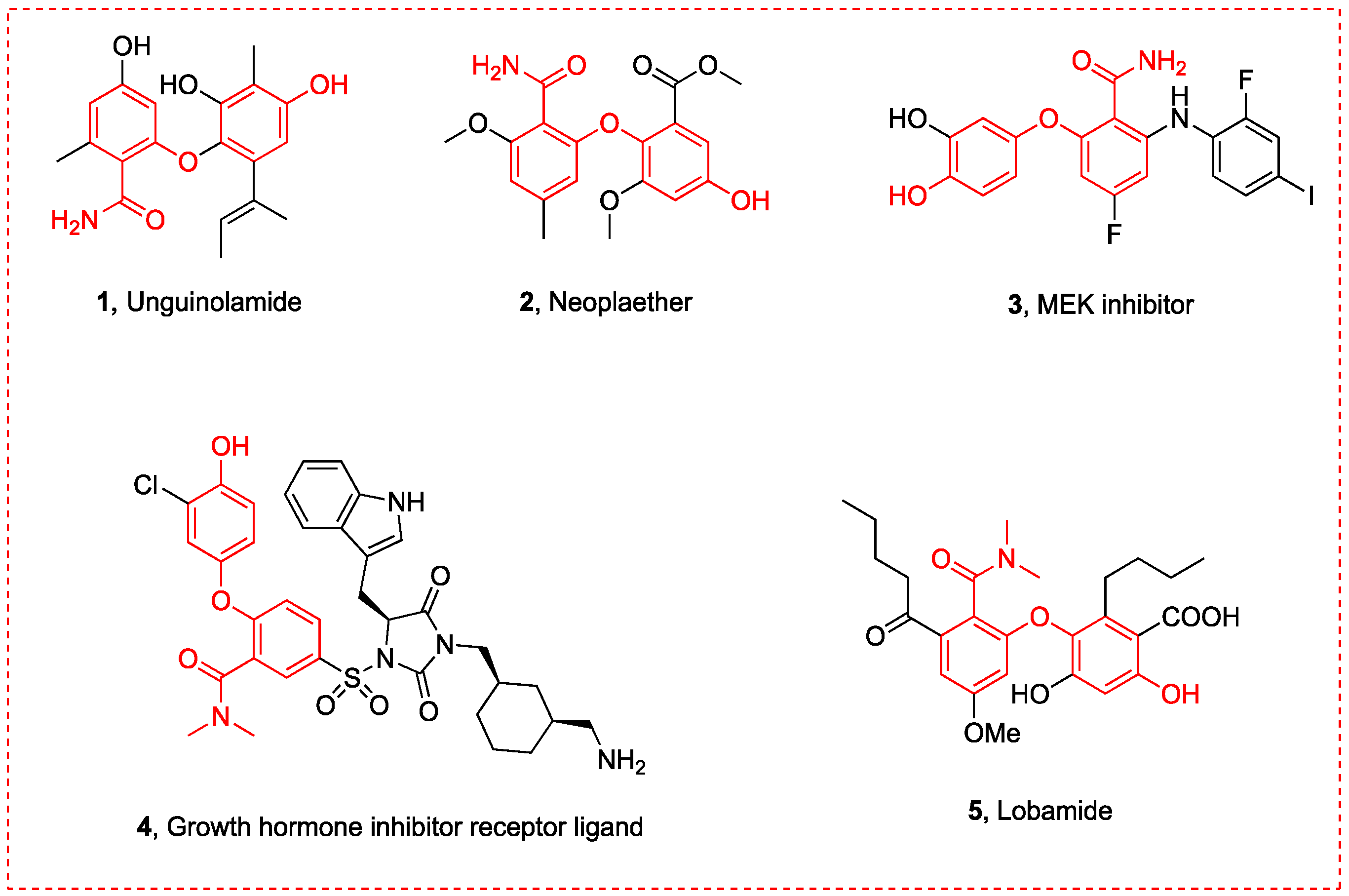 Molecules 29 06048 g001