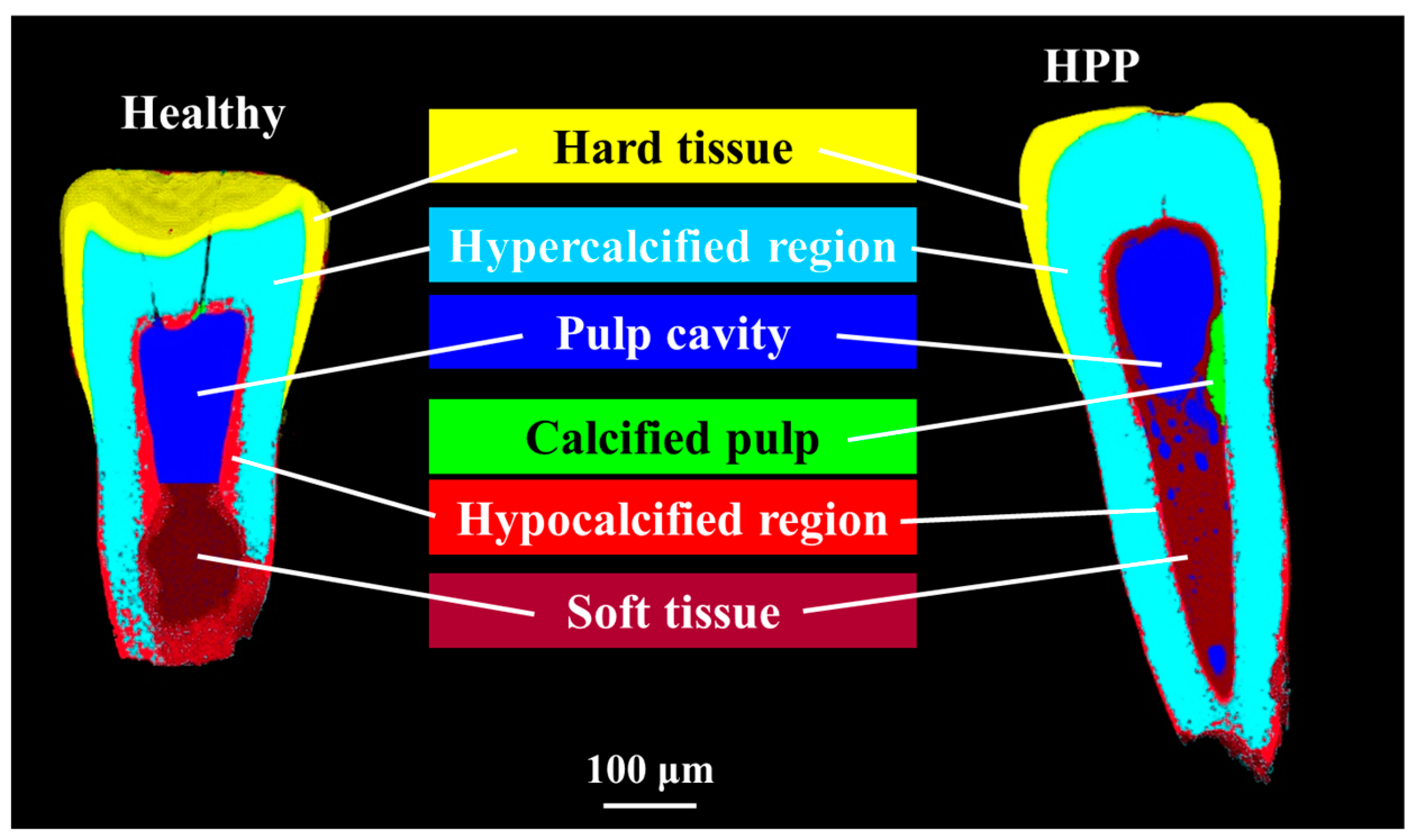 Molecules 29 06049 g002 Molecules 29 06049 g002