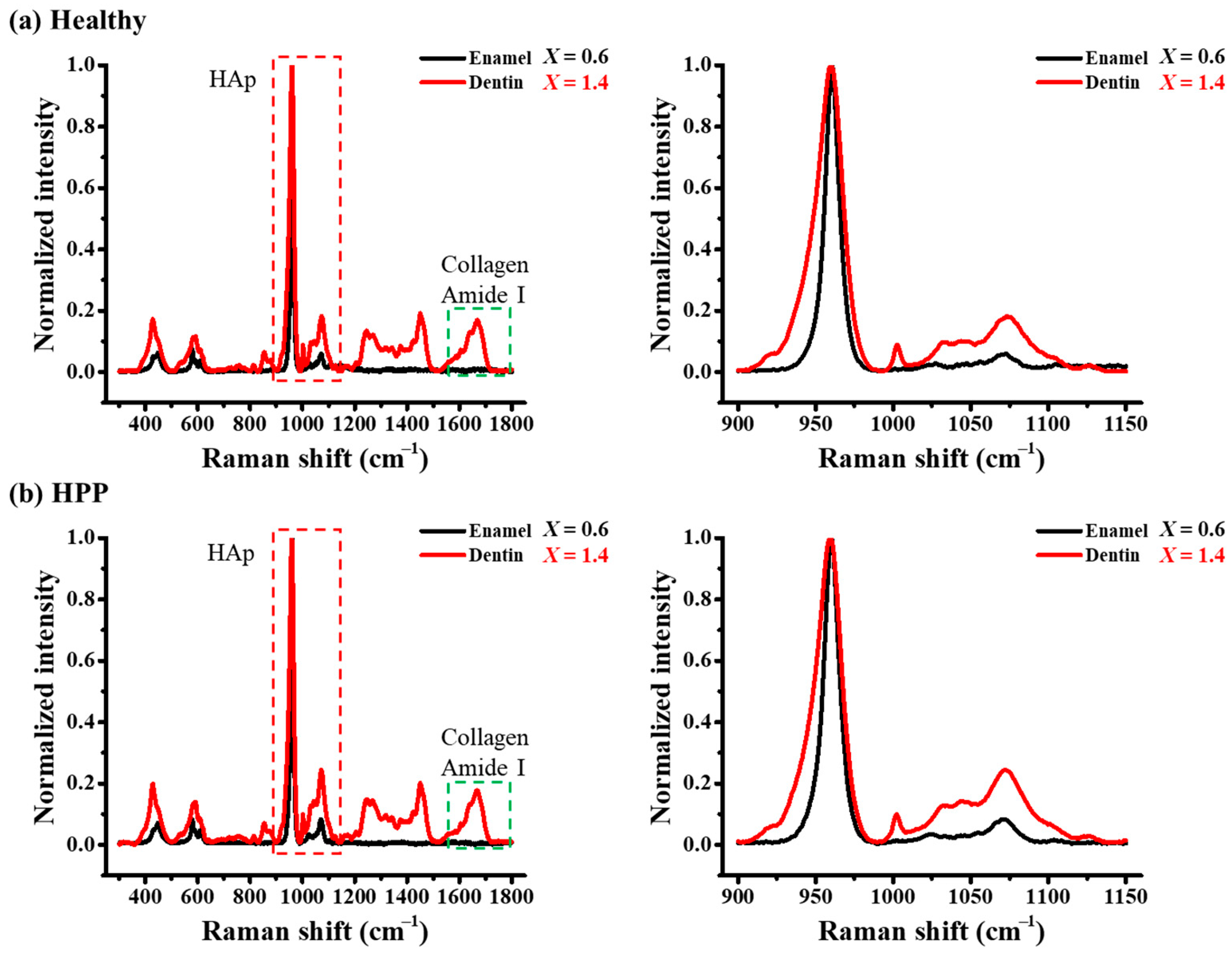 Molecules 29 06049 g004 Molecules 29 06049 g004